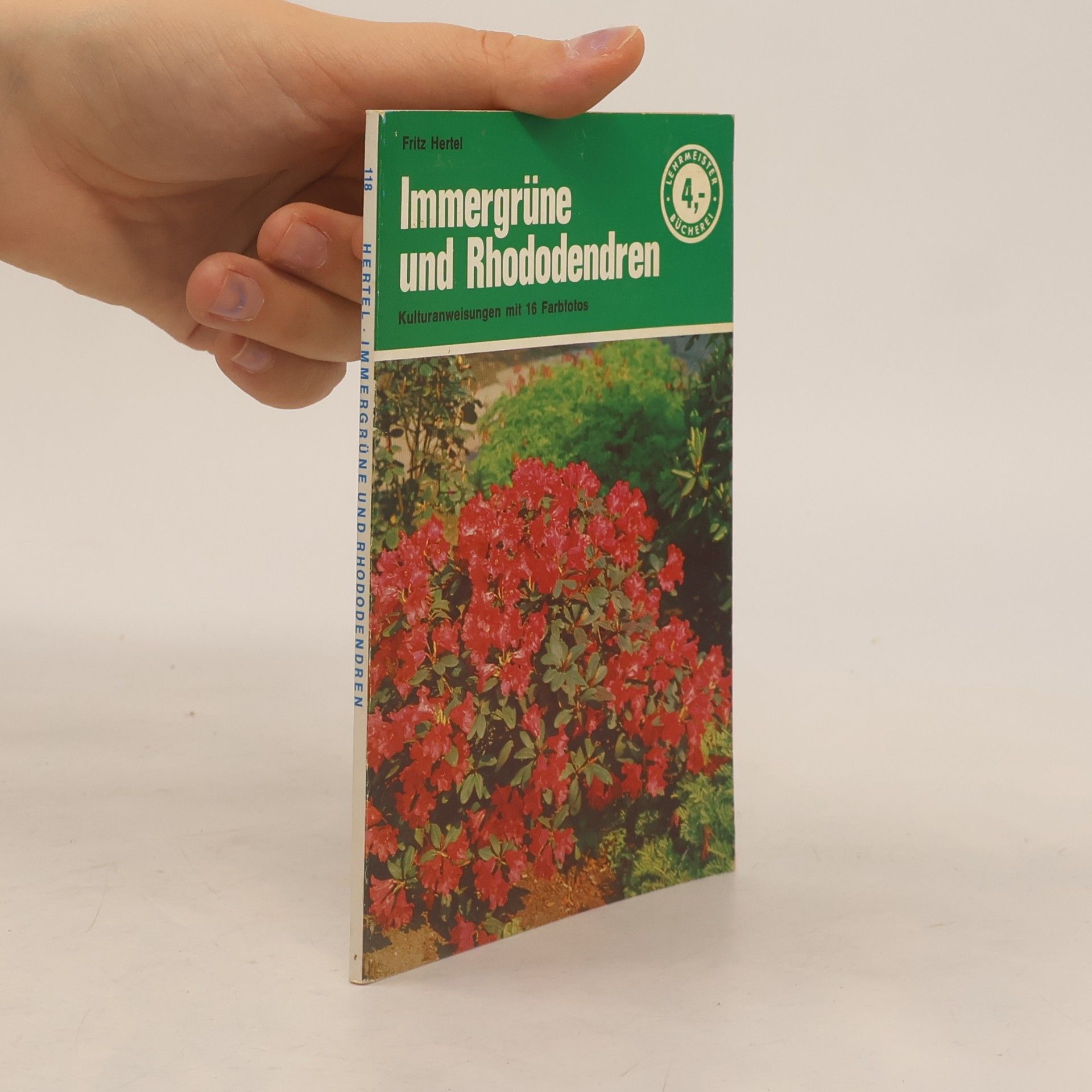 Immergrüne und Rhododendren