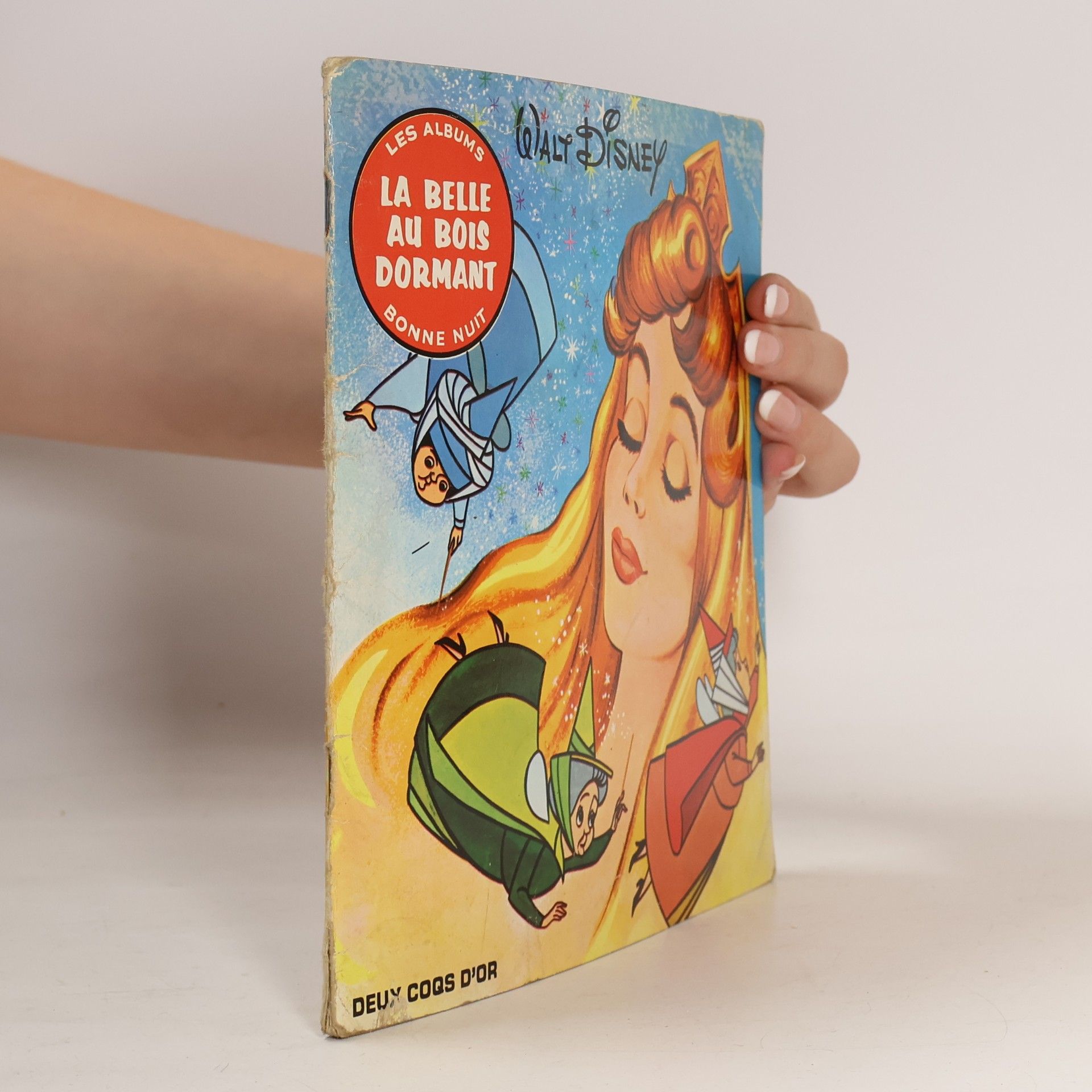kolektiv La Belle au Bois Dormant