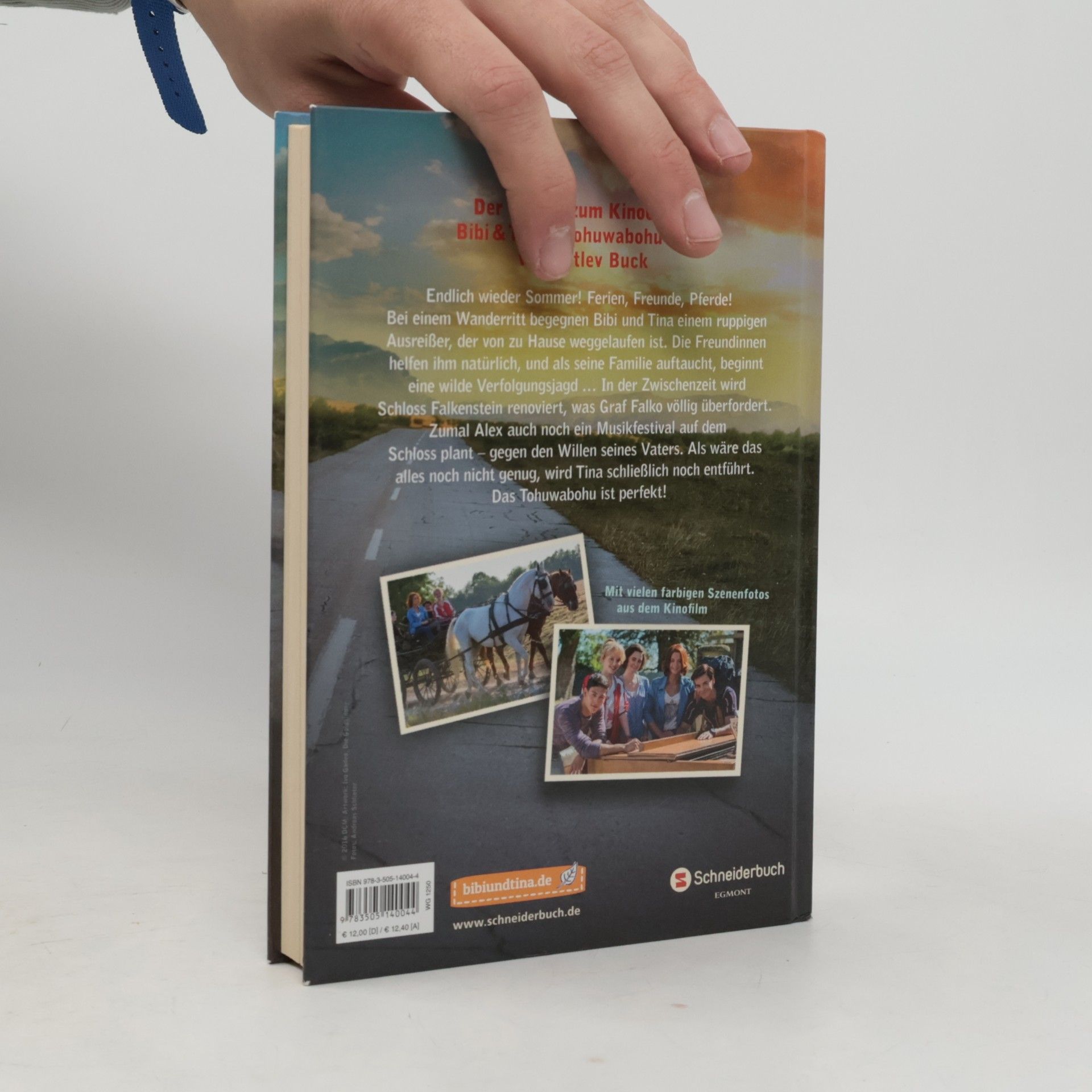 Bettina Börgerding Bibi & Tina Tohuwabohu Total Das buch zum film