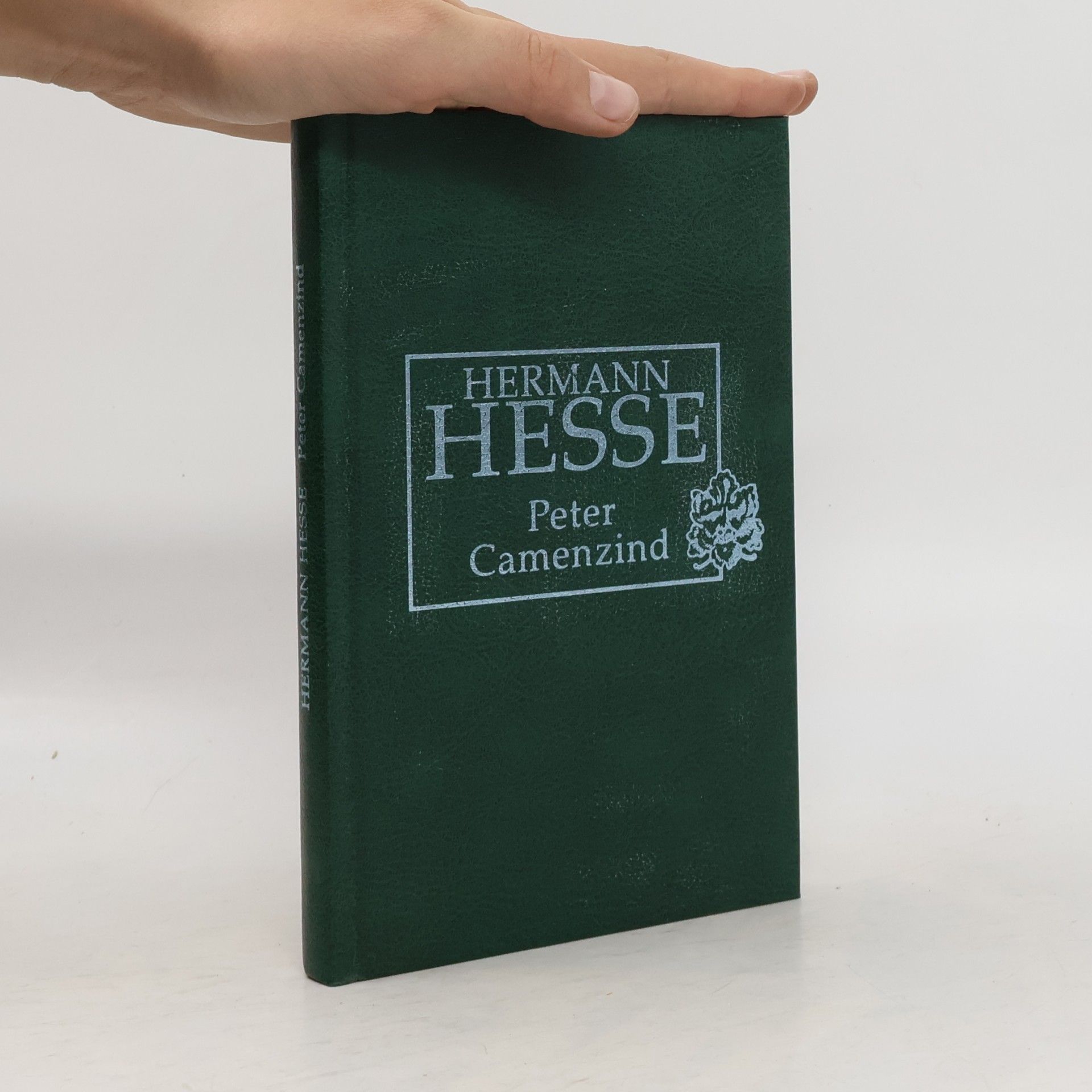 Hermann Hesse Petr Camenzind