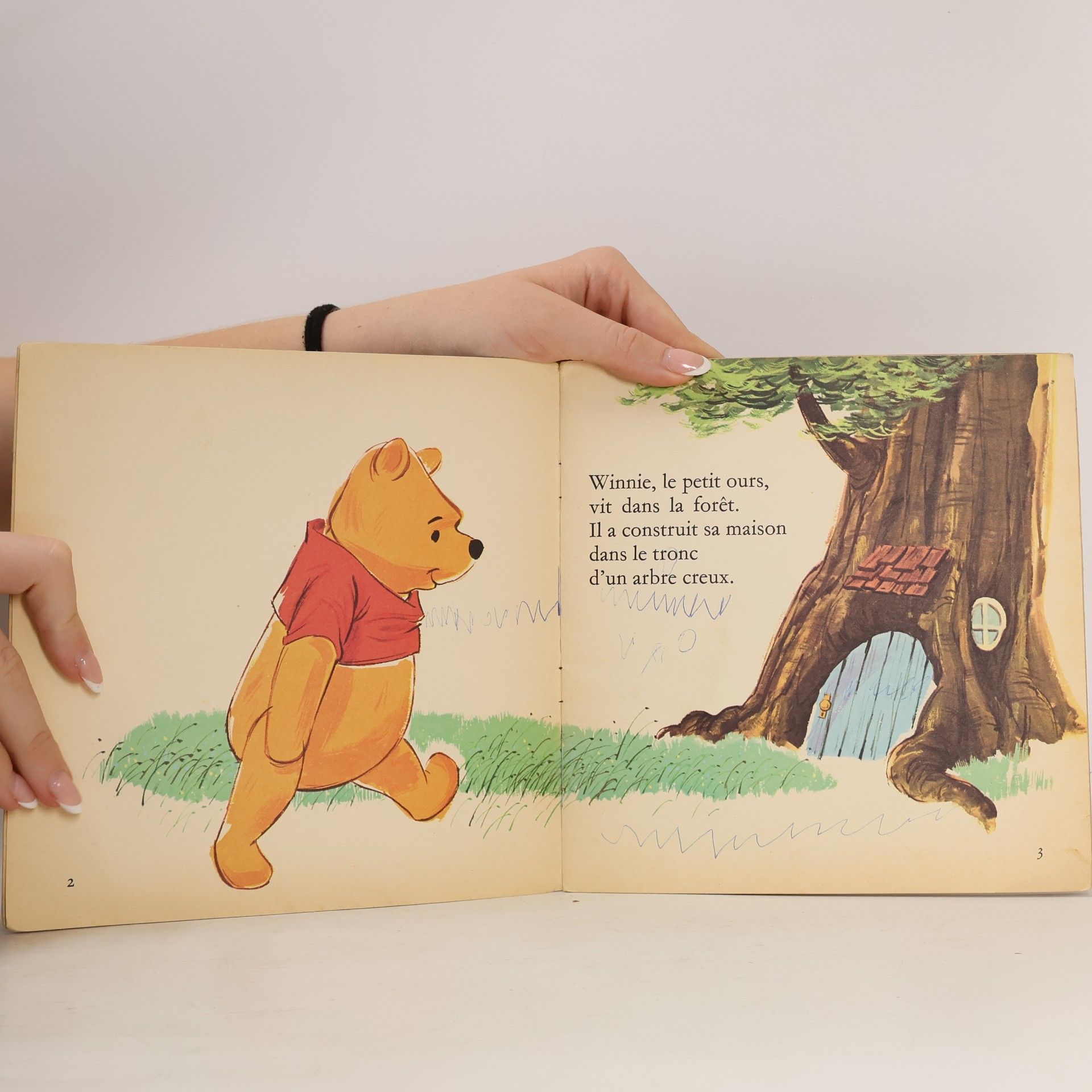 kolektiv Winnie l'Ourson
