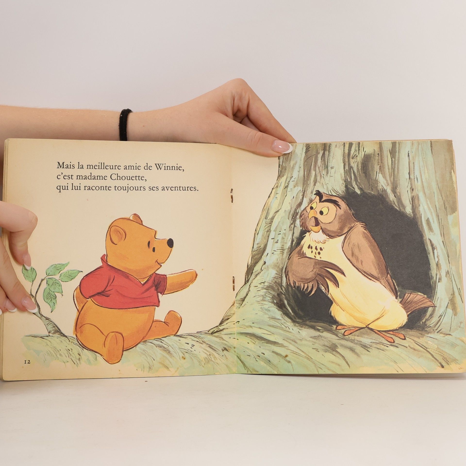 kolektiv Winnie l'Ourson