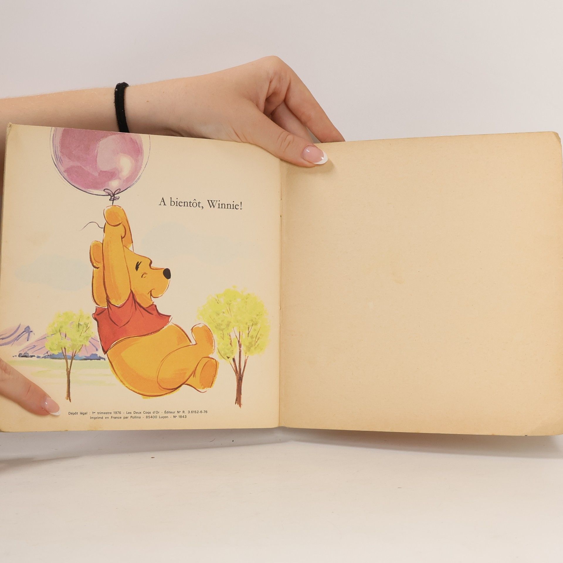 kolektiv Winnie l'Ourson