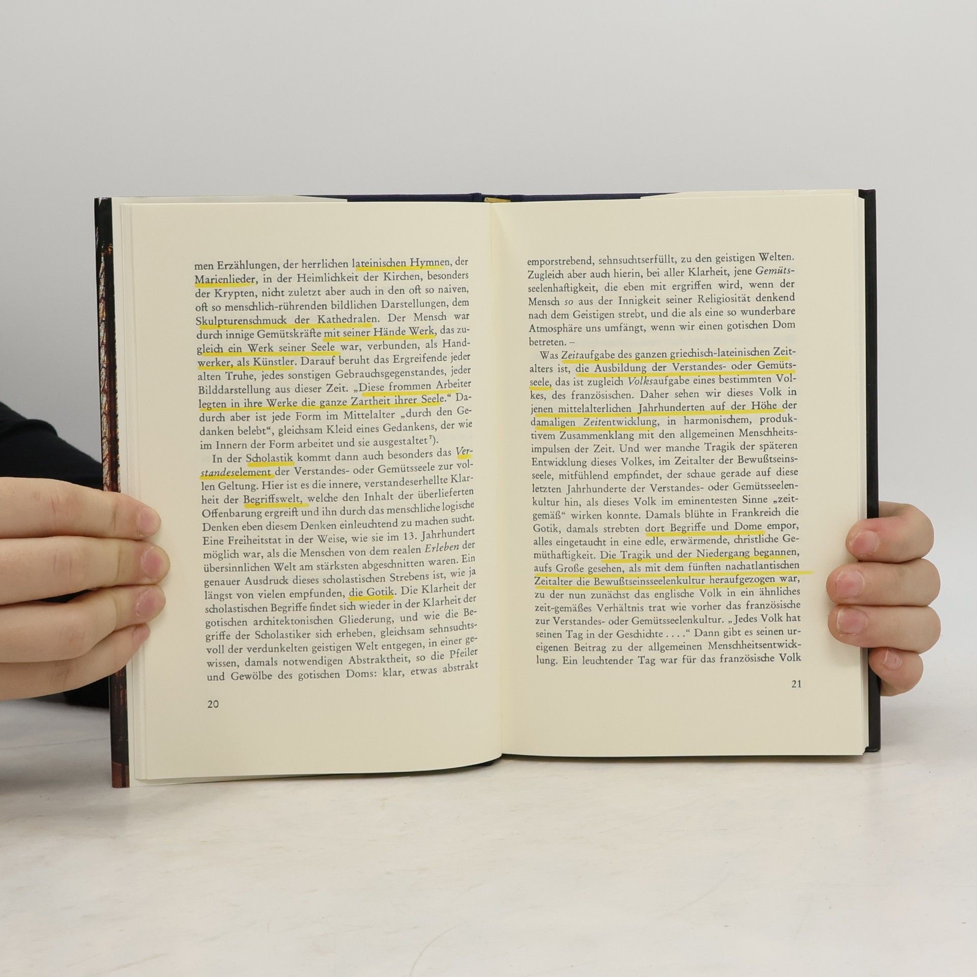 Karl Heyer Vom Genius des Mittelalters