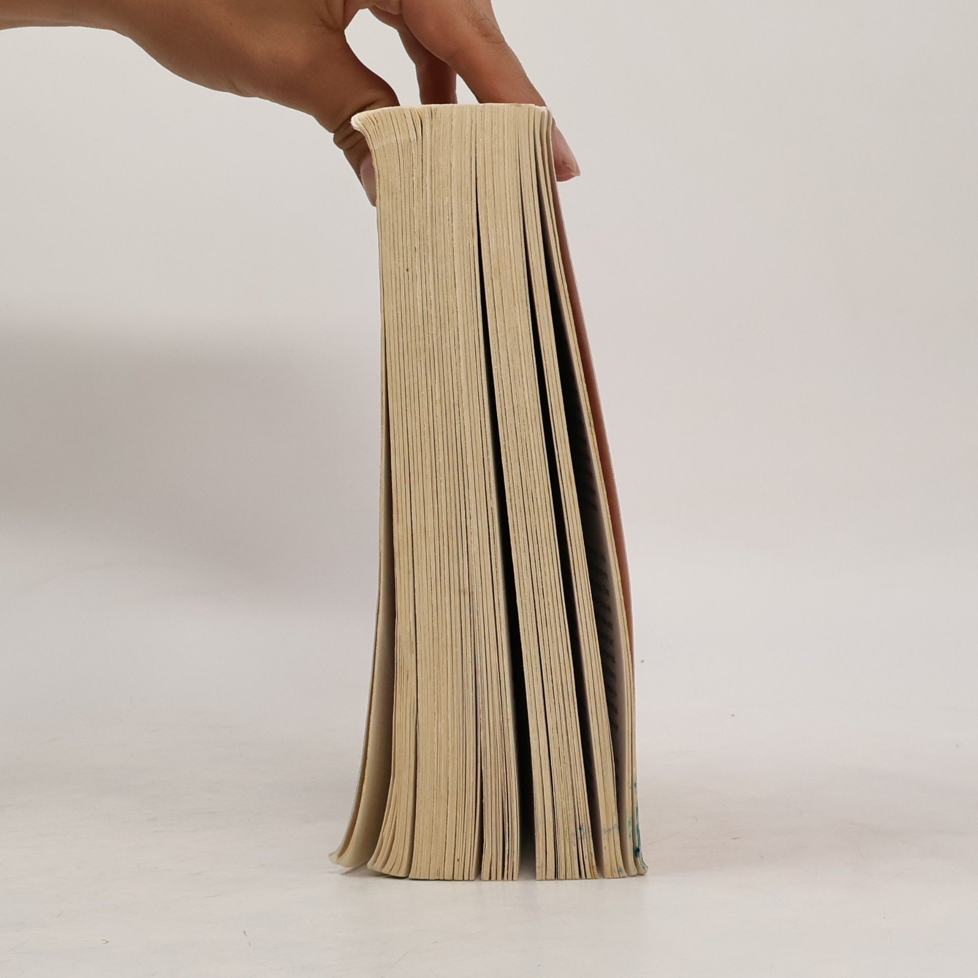 Haruki Murakami The Wind-Up Bird Chronicle