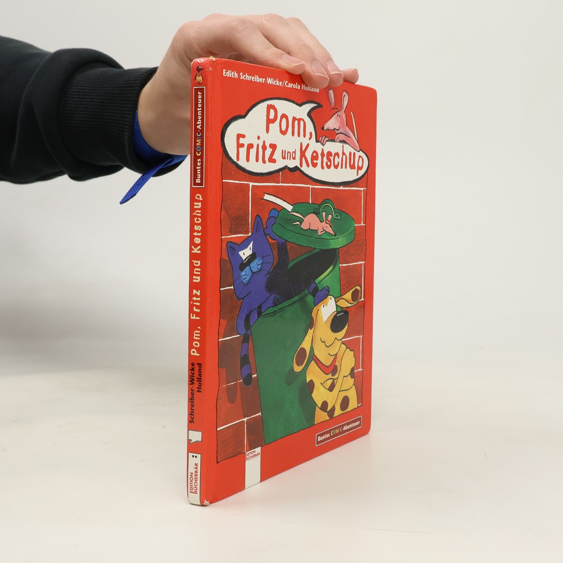 Edith Schreiber-Wicke Buntes Comic-Abenteuer: Pom, Fritz und Ketschup