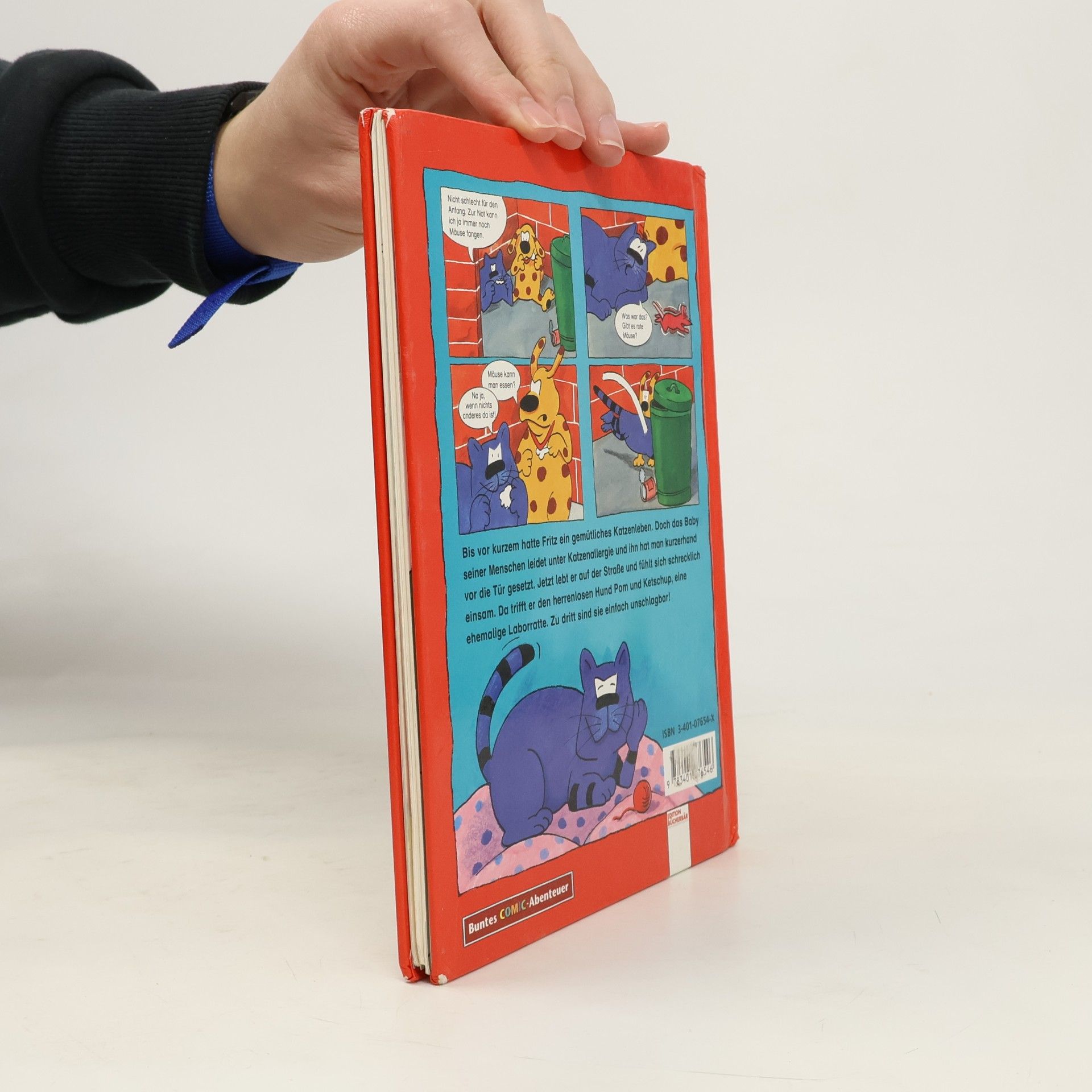 Edith Schreiber-Wicke Buntes Comic-Abenteuer: Pom, Fritz und Ketschup