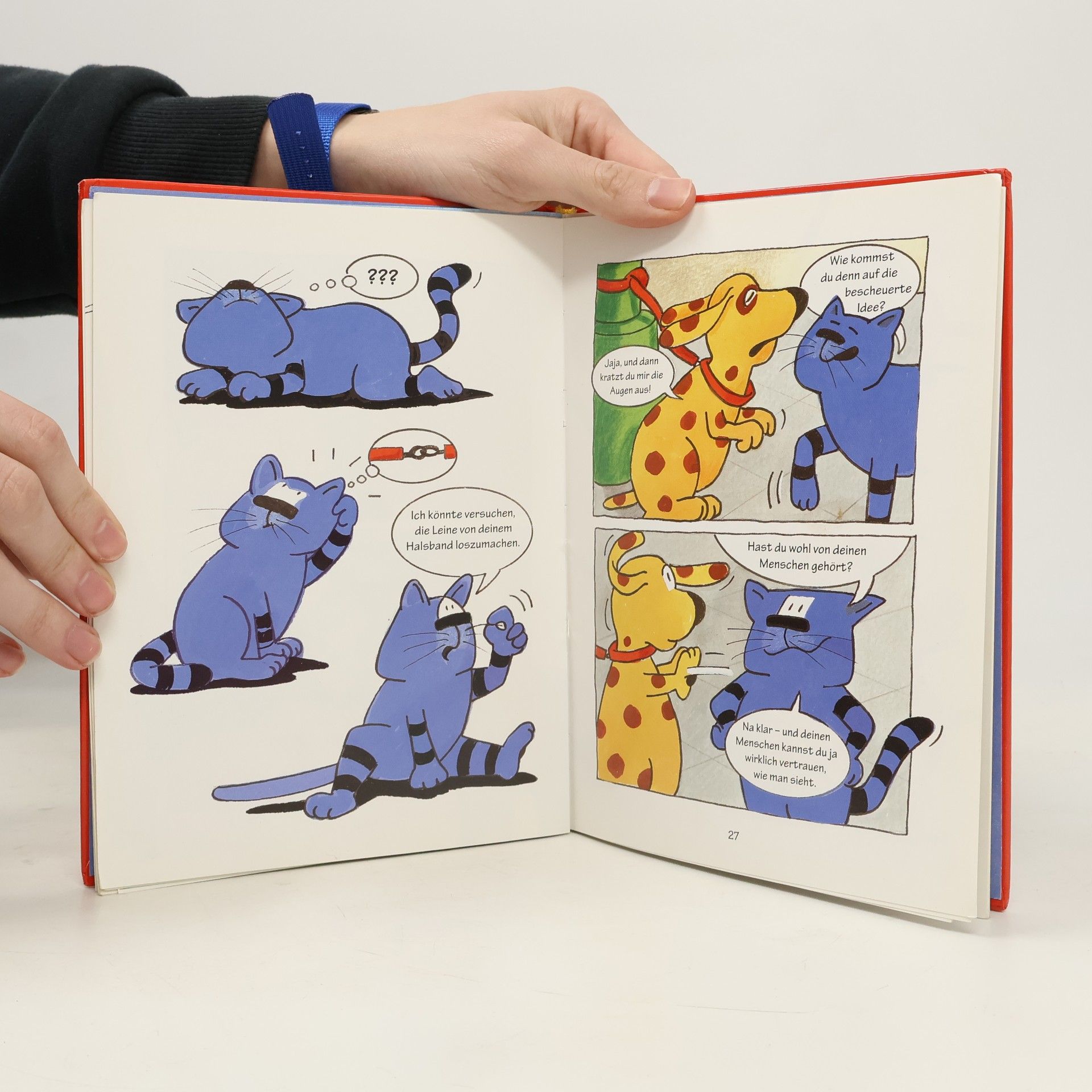 Edith Schreiber-Wicke Buntes Comic-Abenteuer: Pom, Fritz und Ketschup