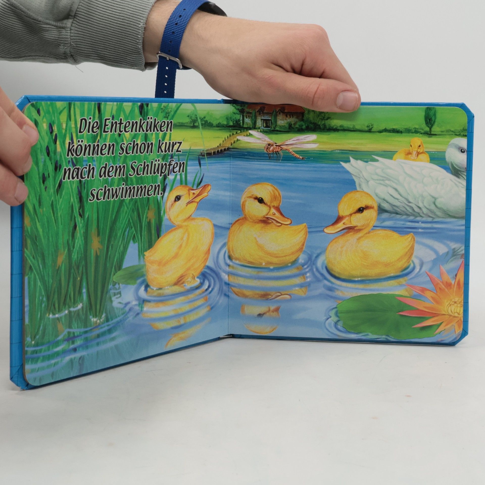 Kolektiv autorů Erster Lernspaß für kleine Entdecker. Enten
