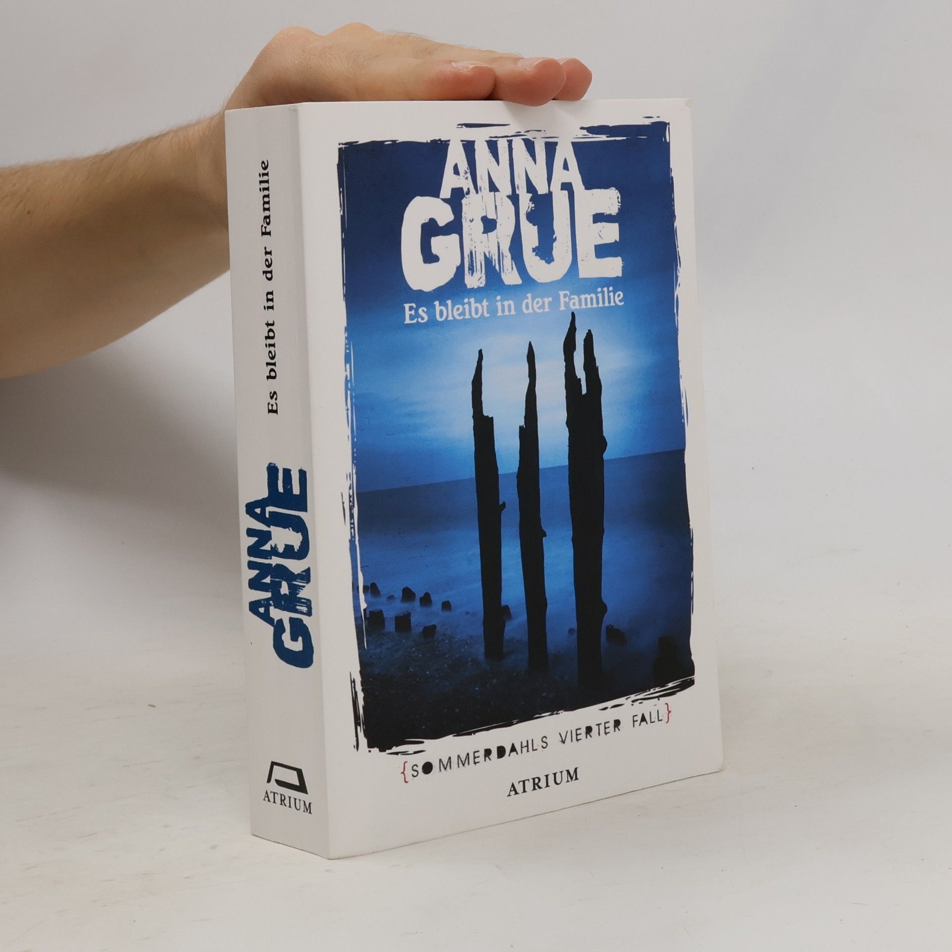 Anna Grue Es bleibt in der Familie