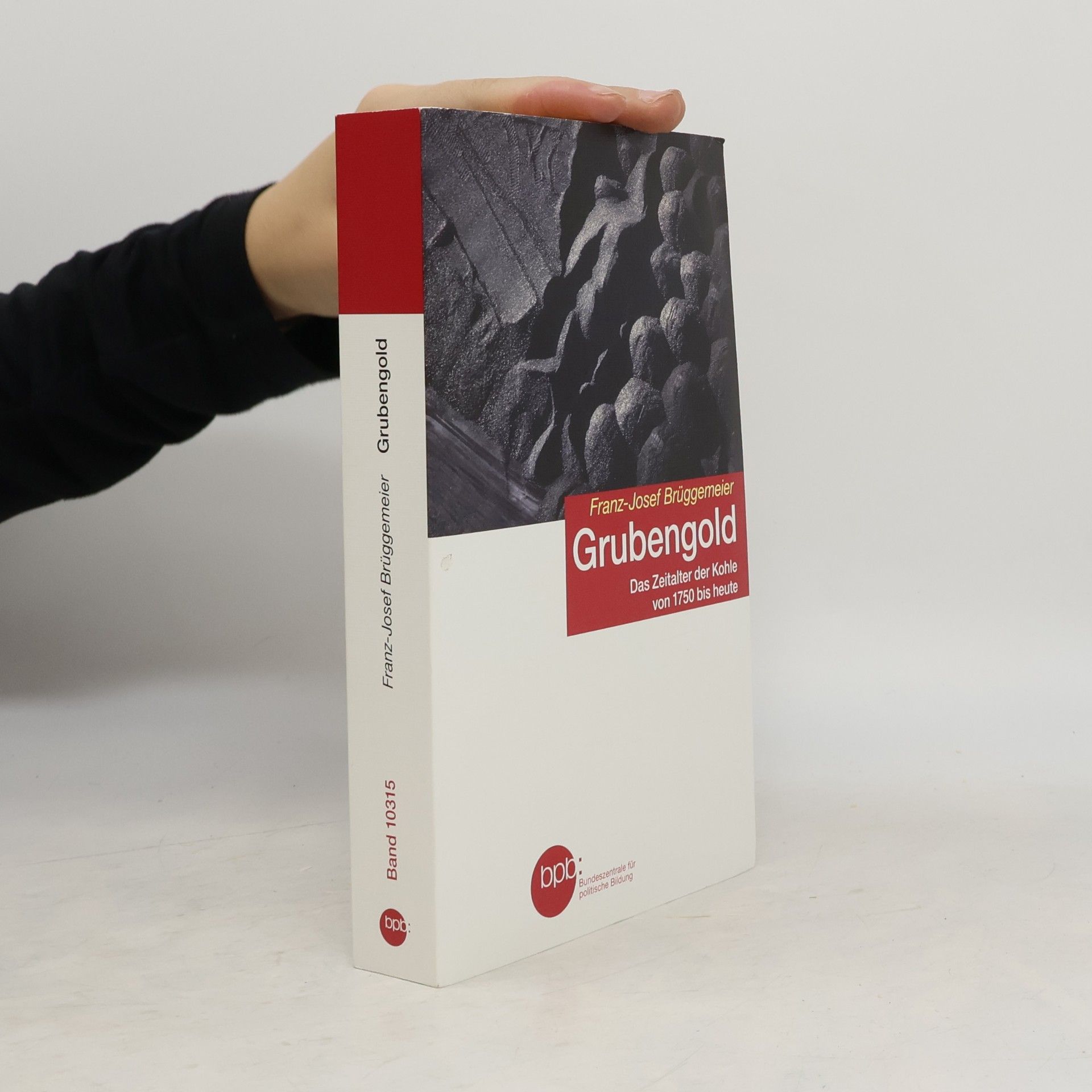 Franz-Josef Brüggemeier Grubengold