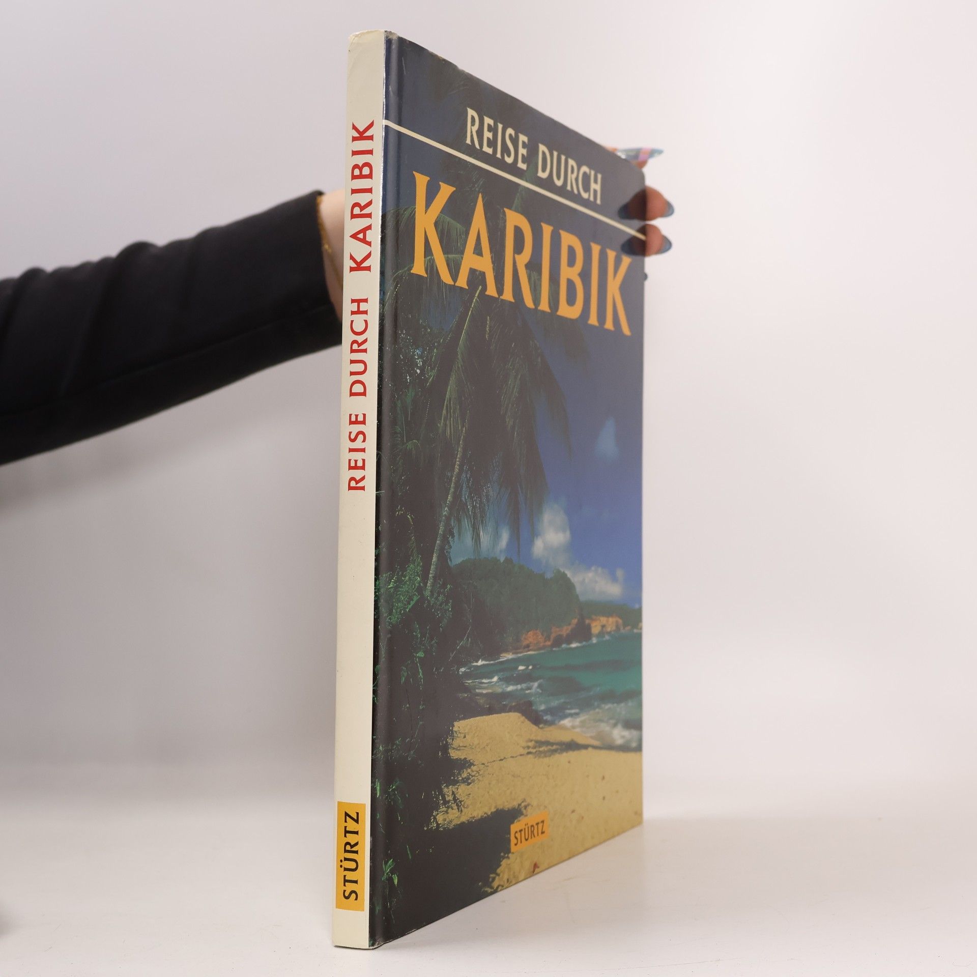 Anne Brauner Reise durch Karibik