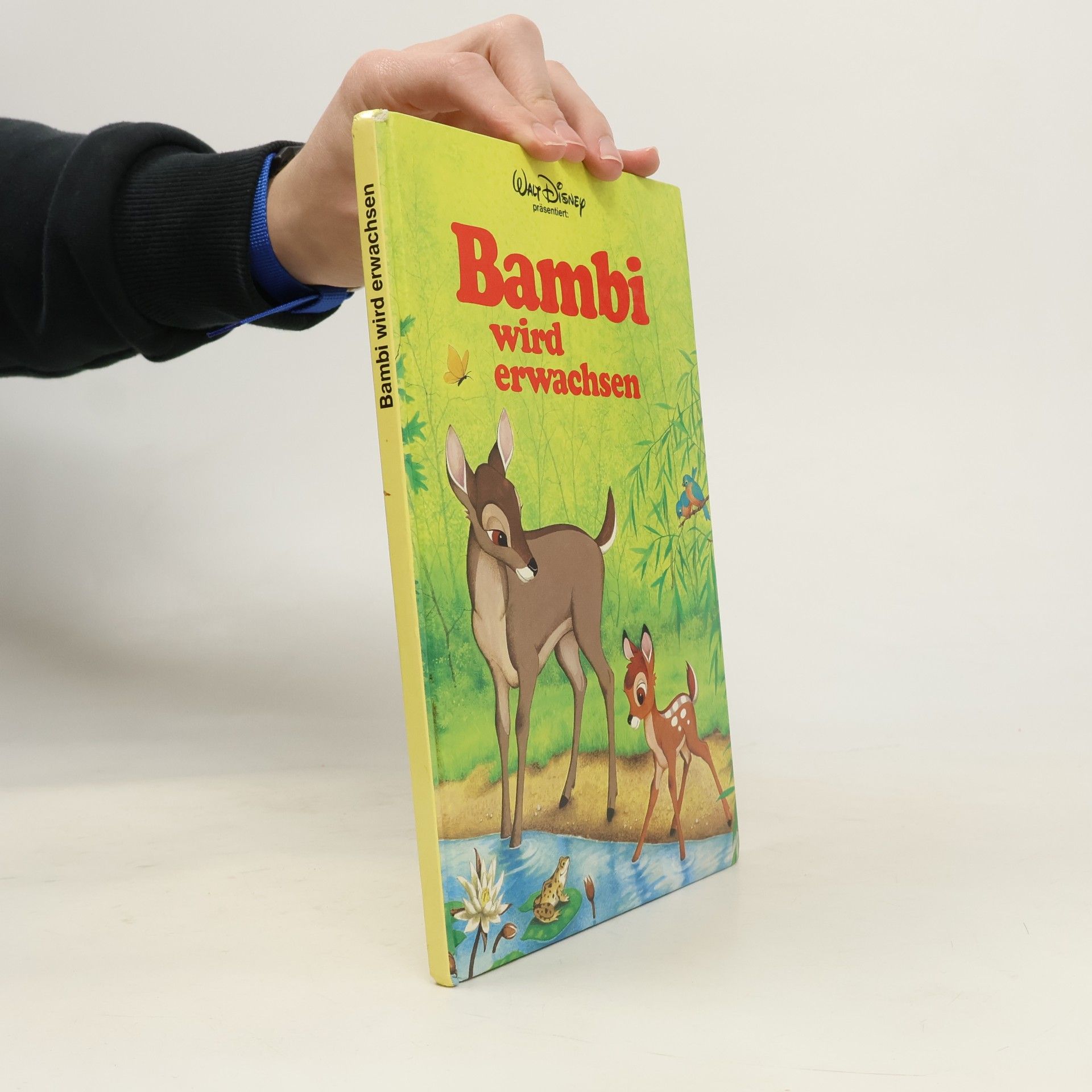 Various authors Bambi wird erwaschen