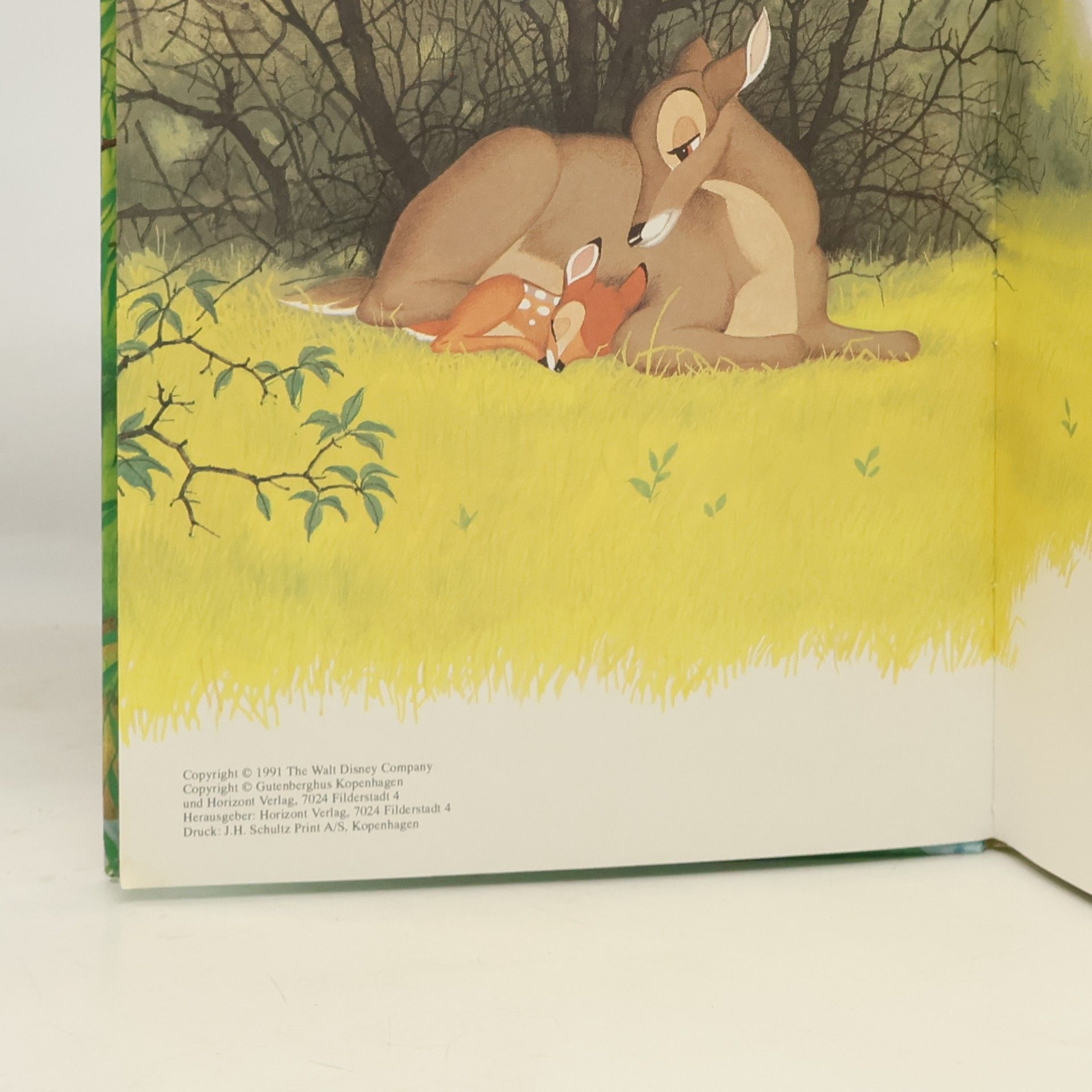Various authors Bambi wird erwaschen