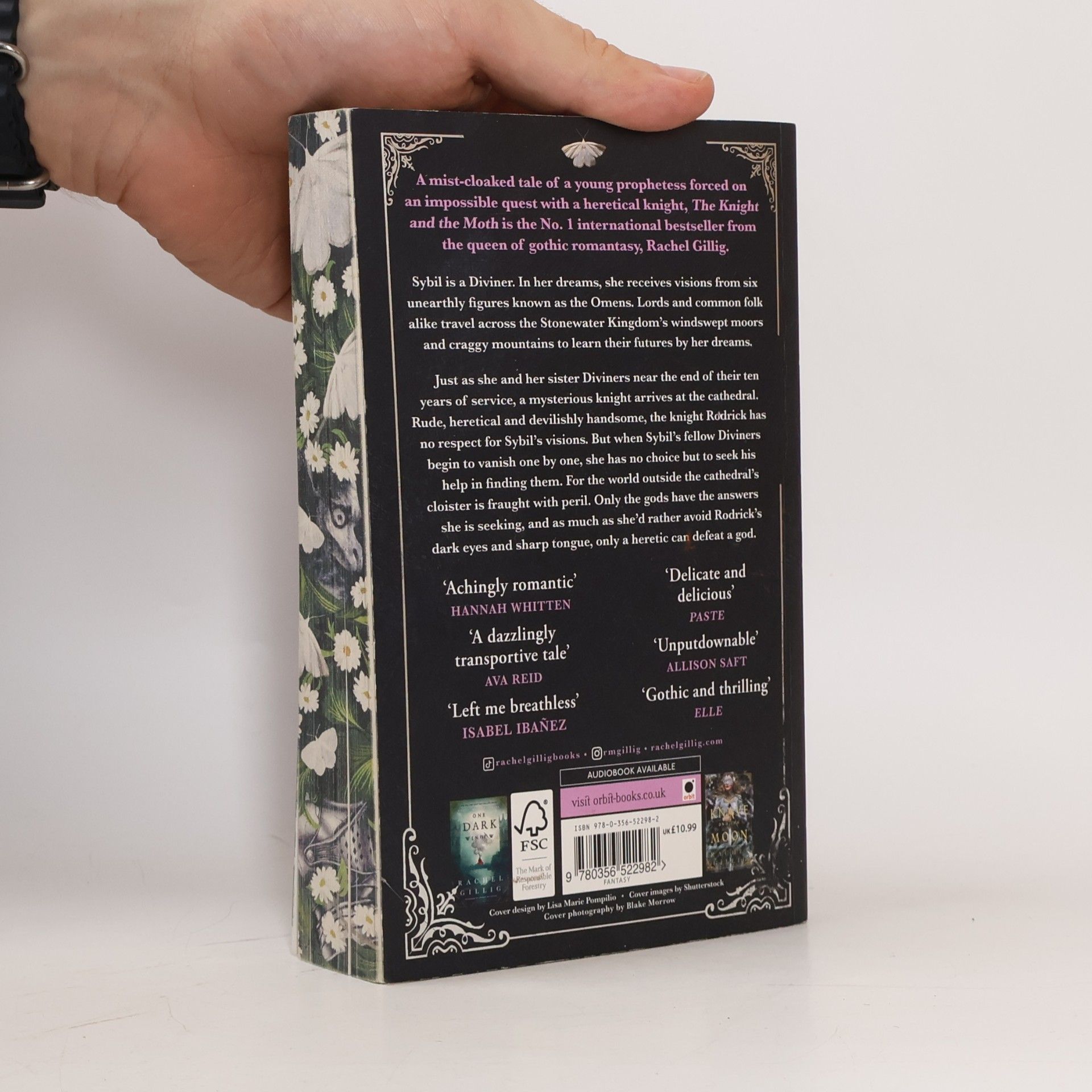 Rachel Gillig The Stonewater Kingdom - 1: The Knight and the Moth