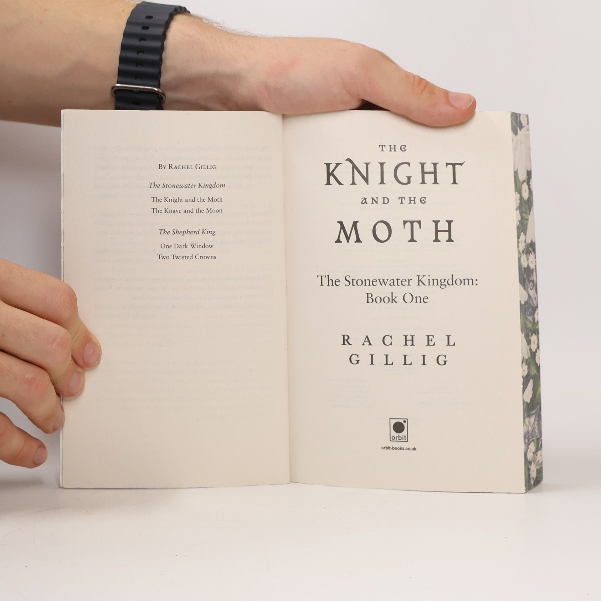 Rachel Gillig The Stonewater Kingdom - 1: The Knight and the Moth