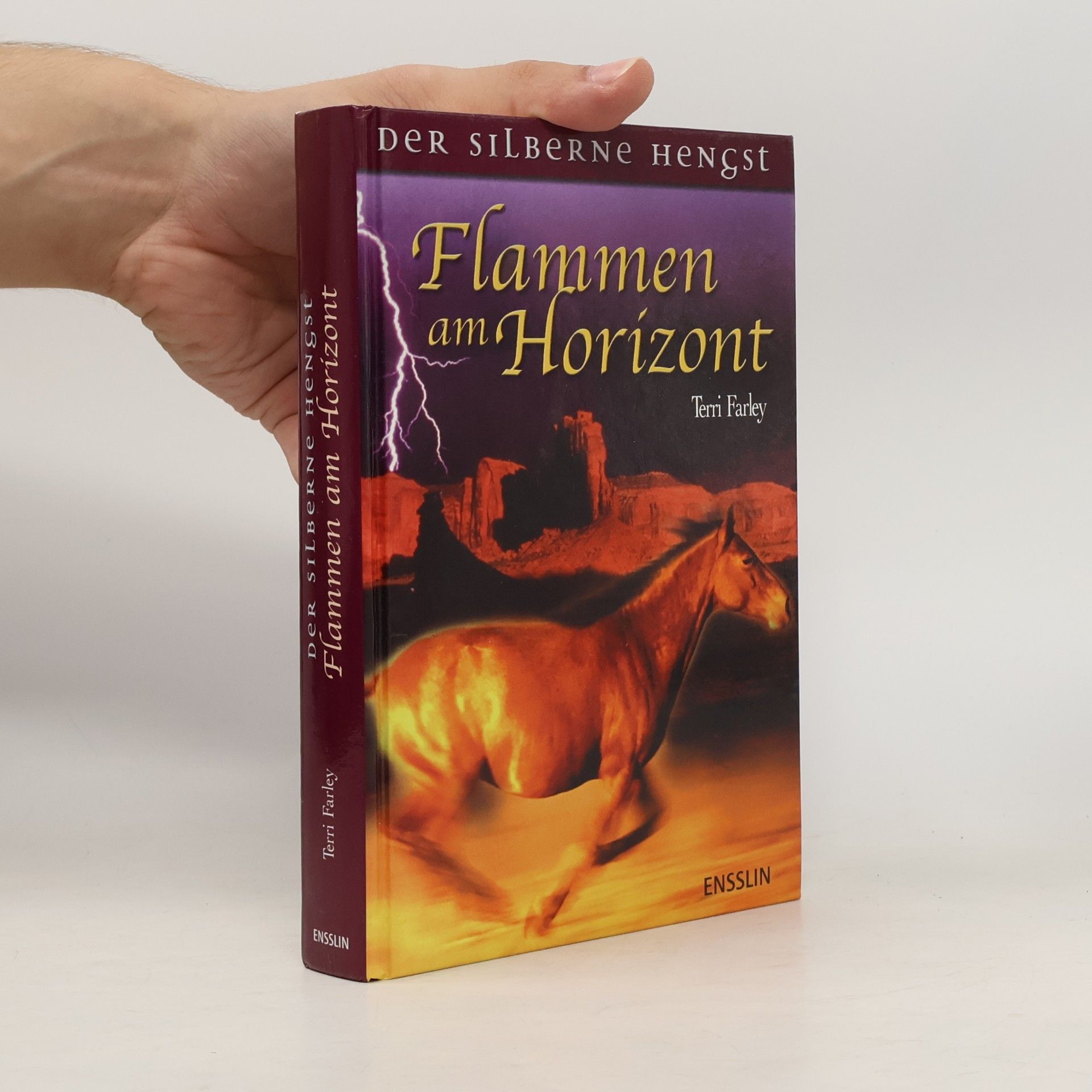 Terri Farley Flammen am Horizont