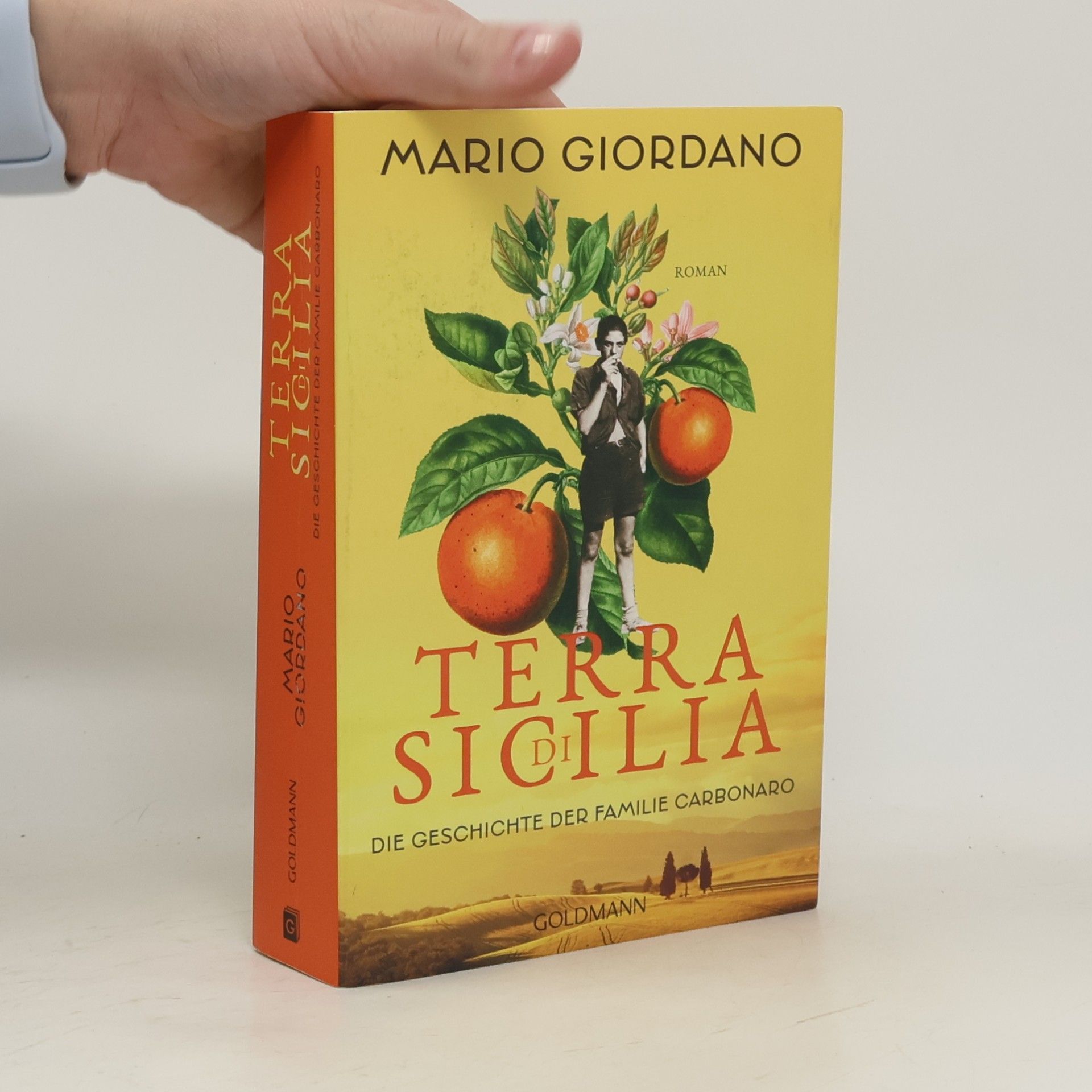 Terra di Sicilia. Die Geschichte der Familie Carbonaro