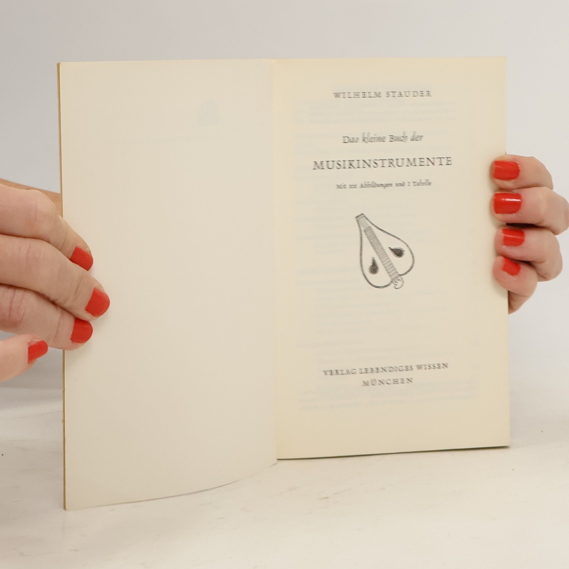 Collectif d'auteurs Das kleine Buch der Musikinstrumente