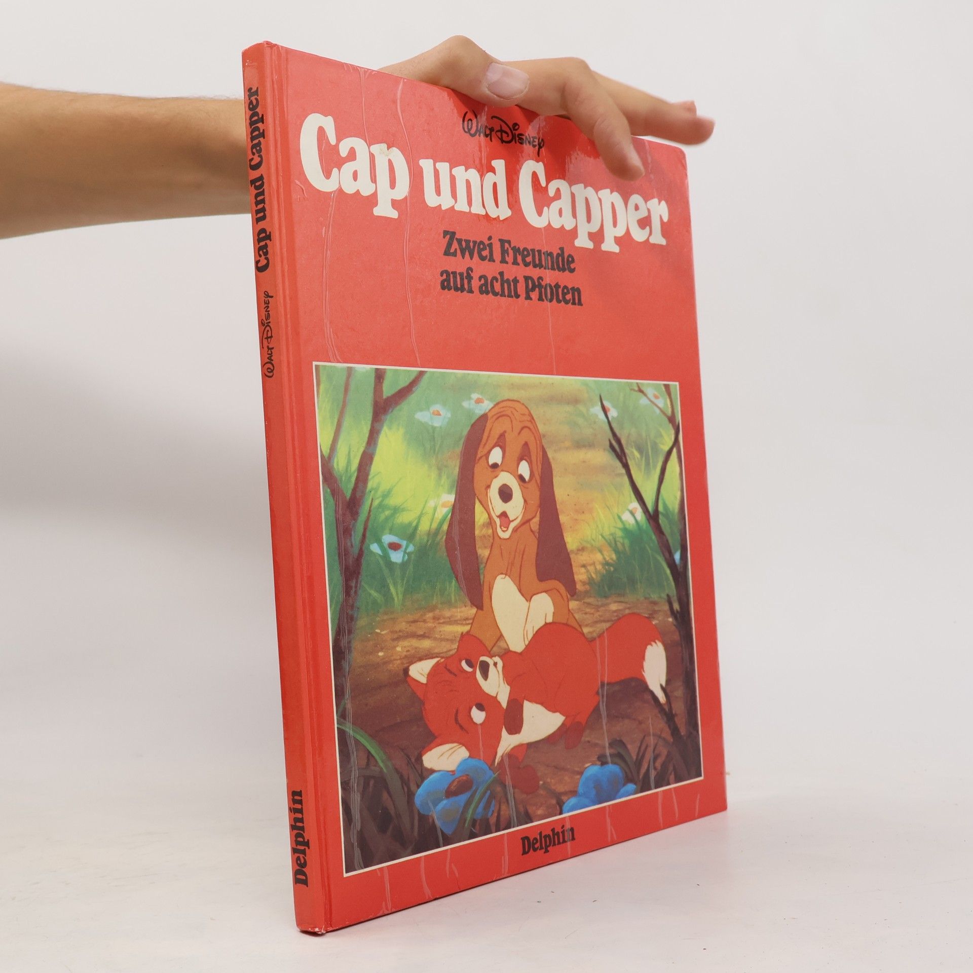 Kolektiv autorů Cap und Capper