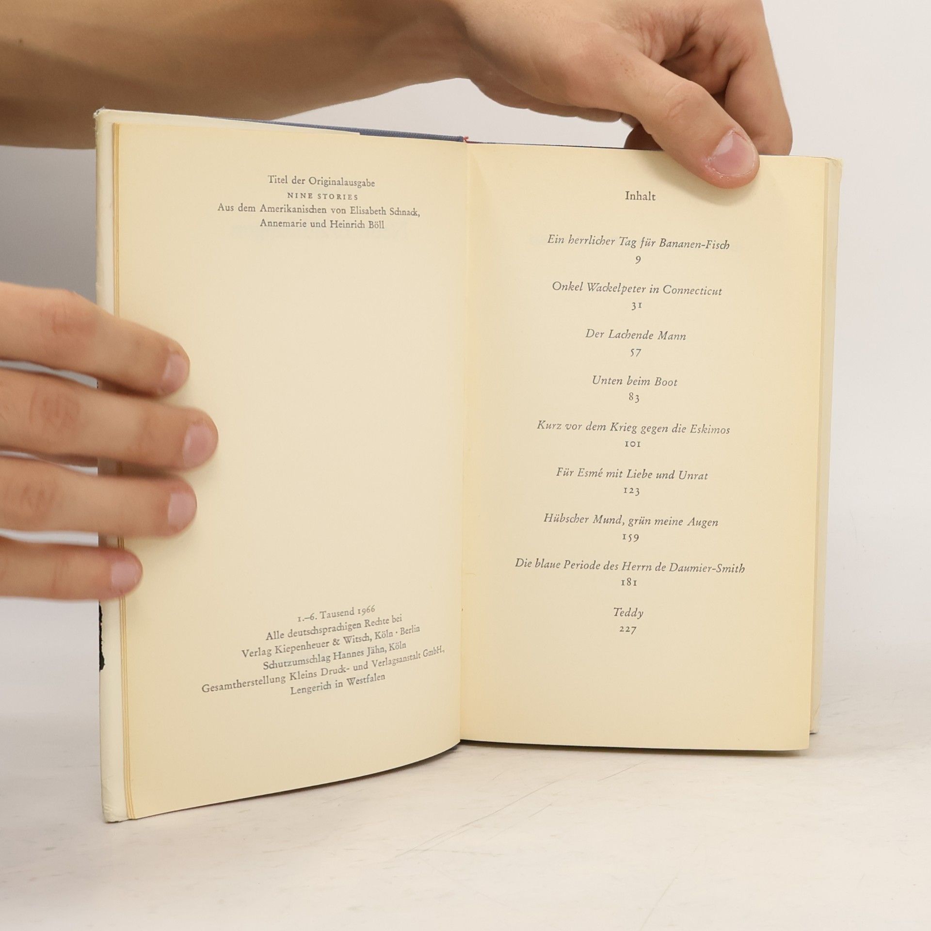 Jerome David Salinger Neun erzählungen