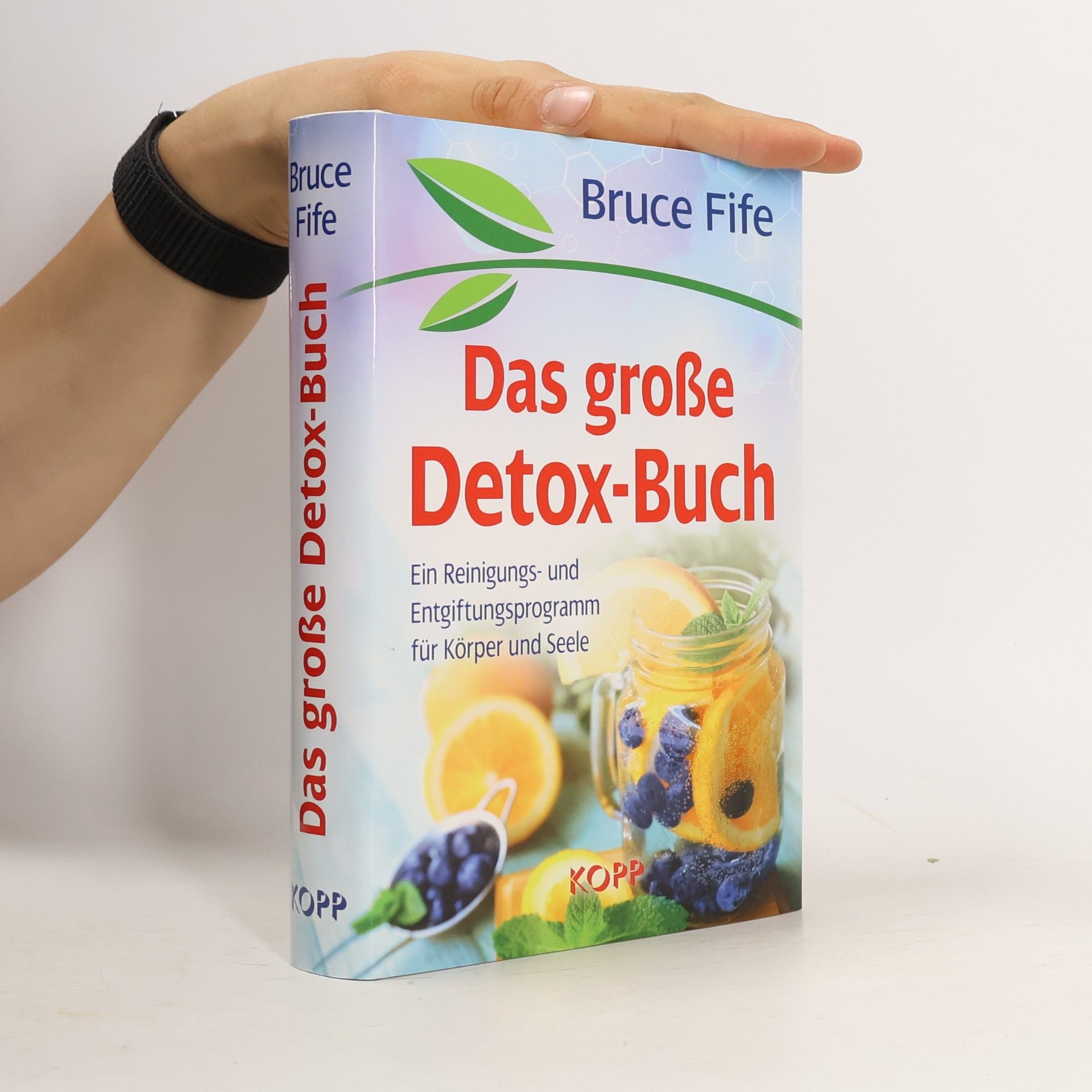 Das große Detox-Buch