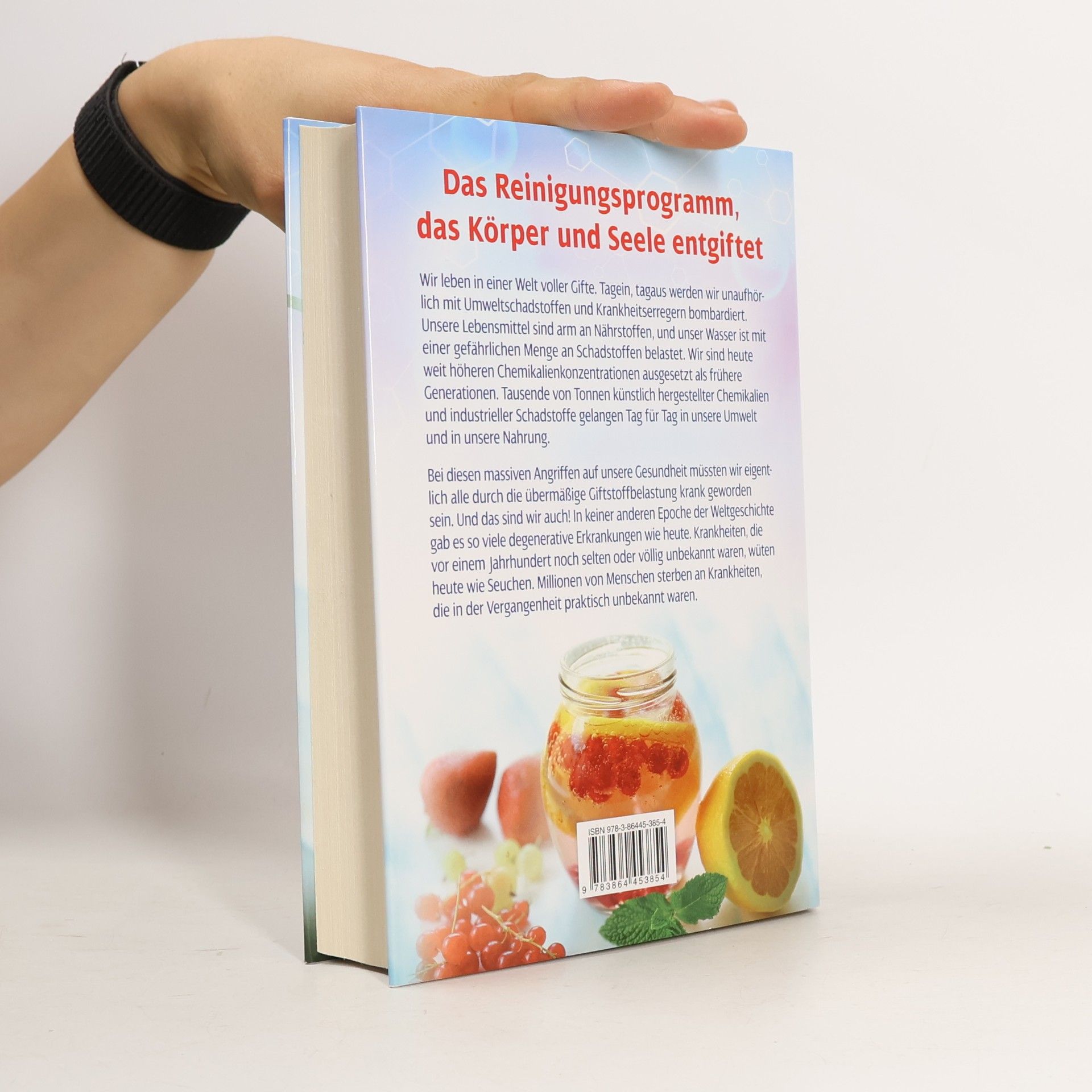 Bruce Fife Das große Detox-Buch