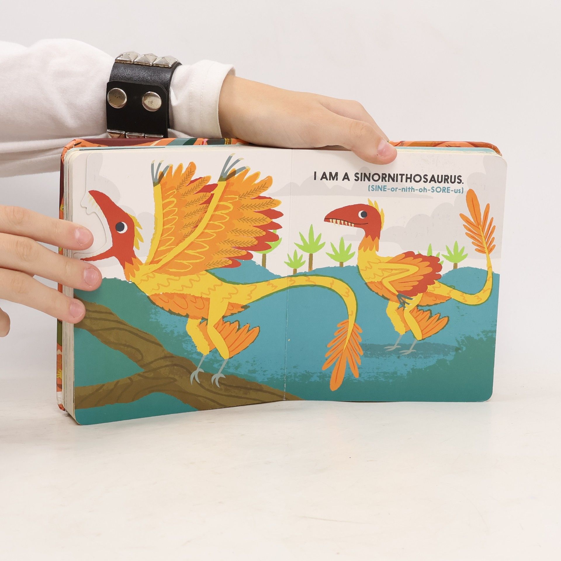 Christopher Franceschelli Dinoblock