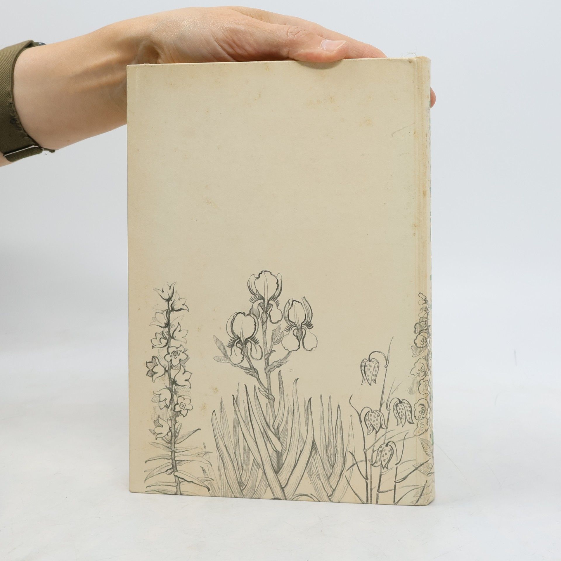 Irmgard Zacharias Garten buch der Bücher gilde