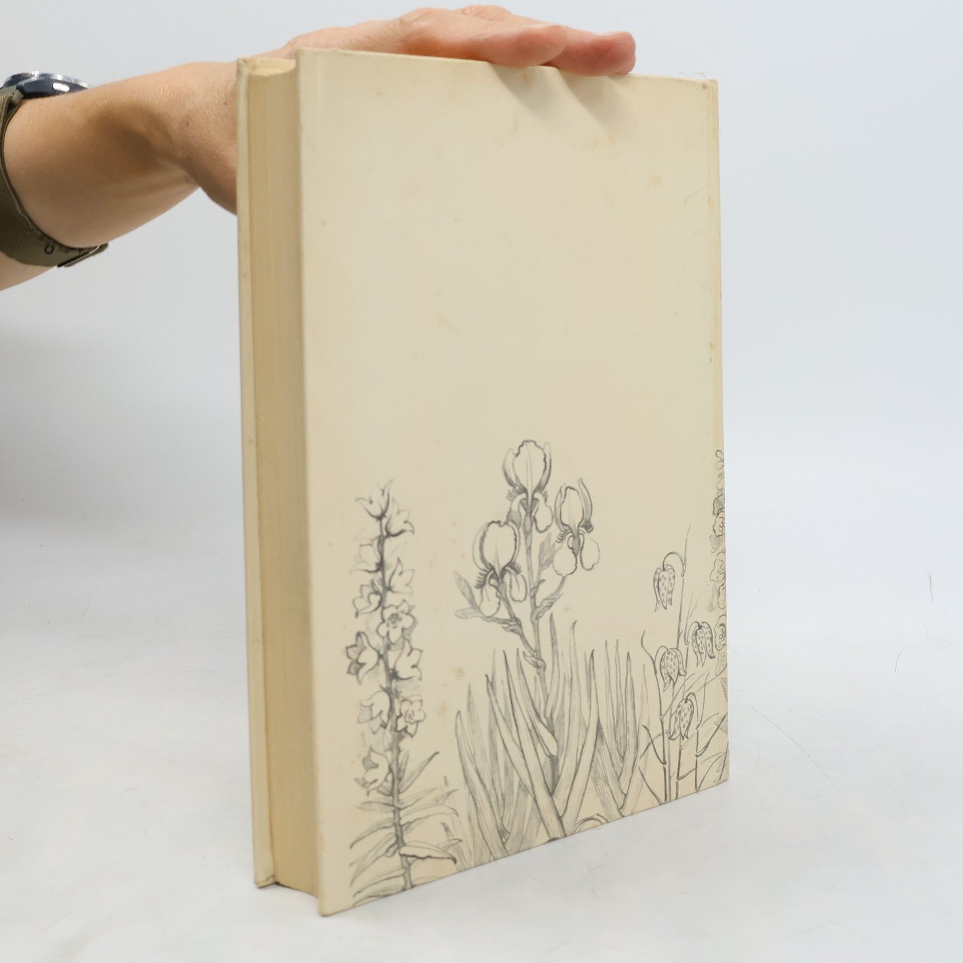 Irmgard Zacharias Garten buch der Bücher gilde