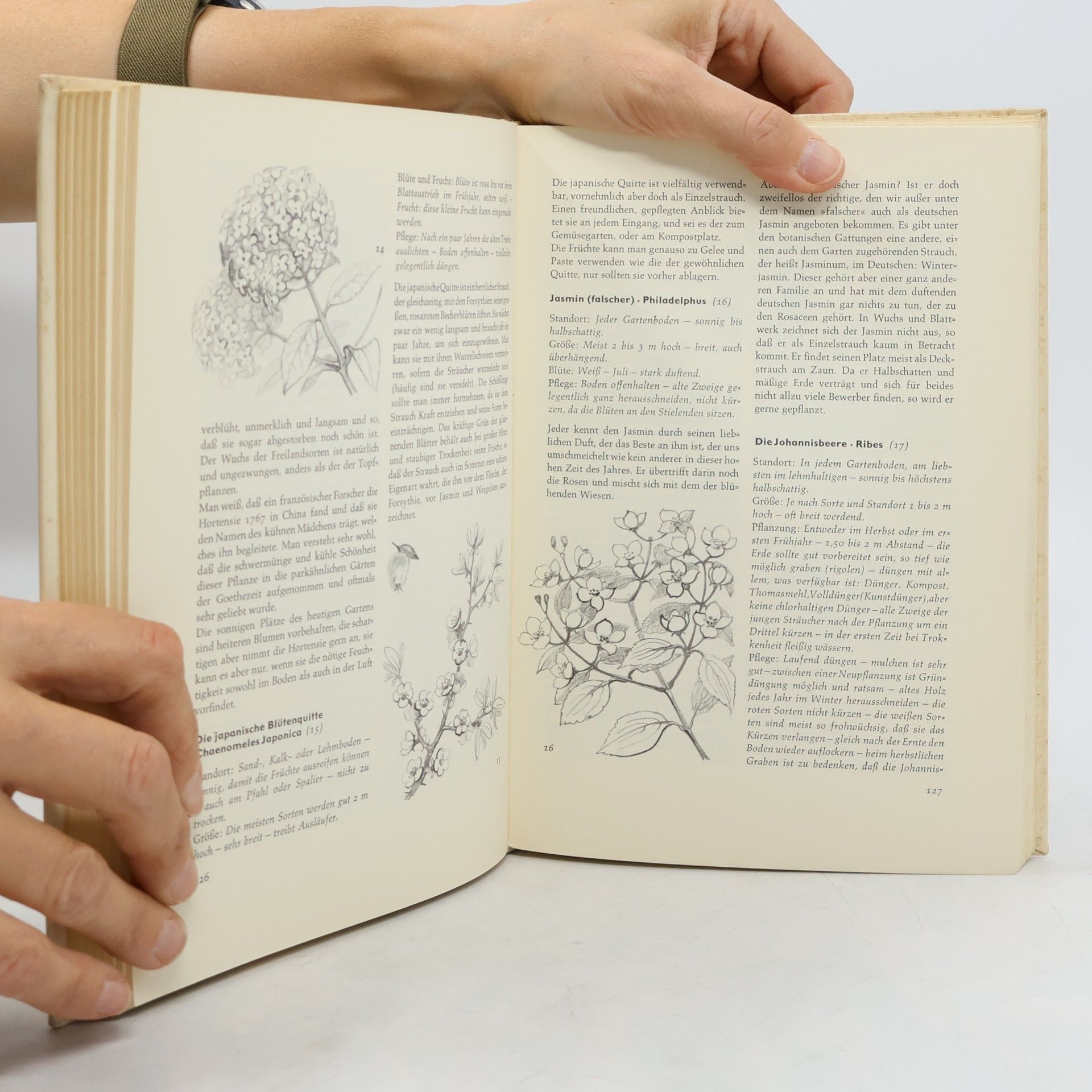 Irmgard Zacharias Garten buch der Bücher gilde