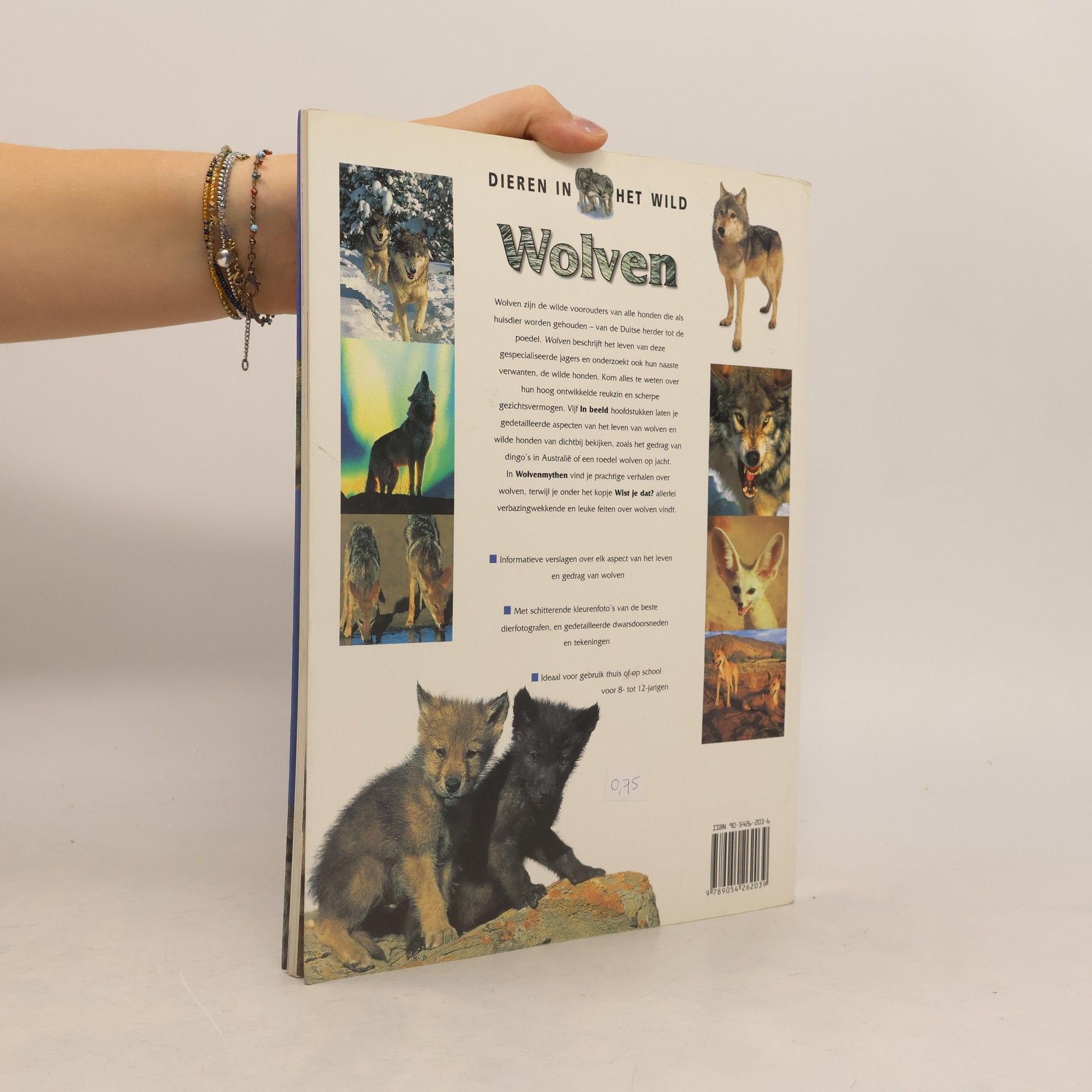 Jen Green Wolven 4