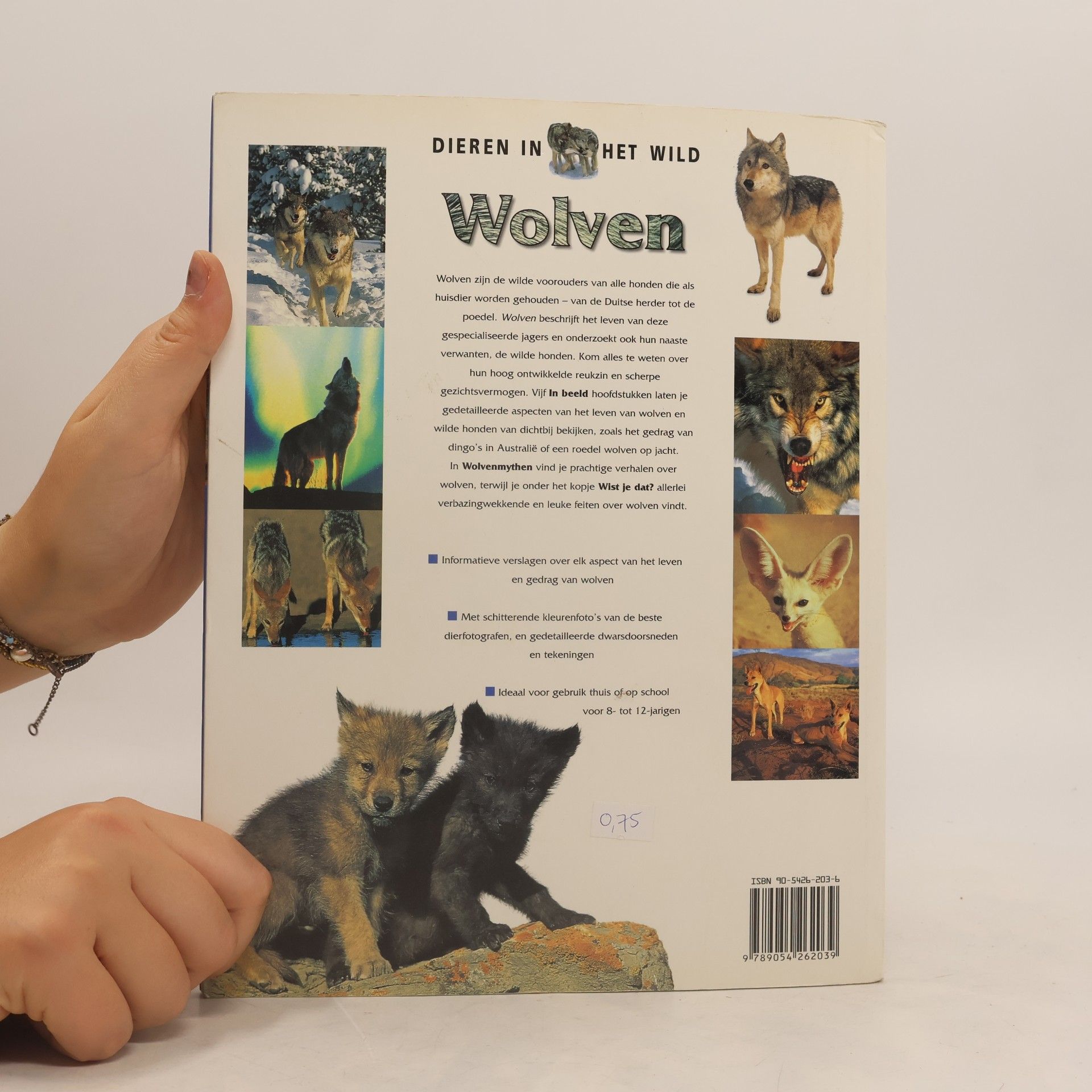 Jen Green Wolven 4