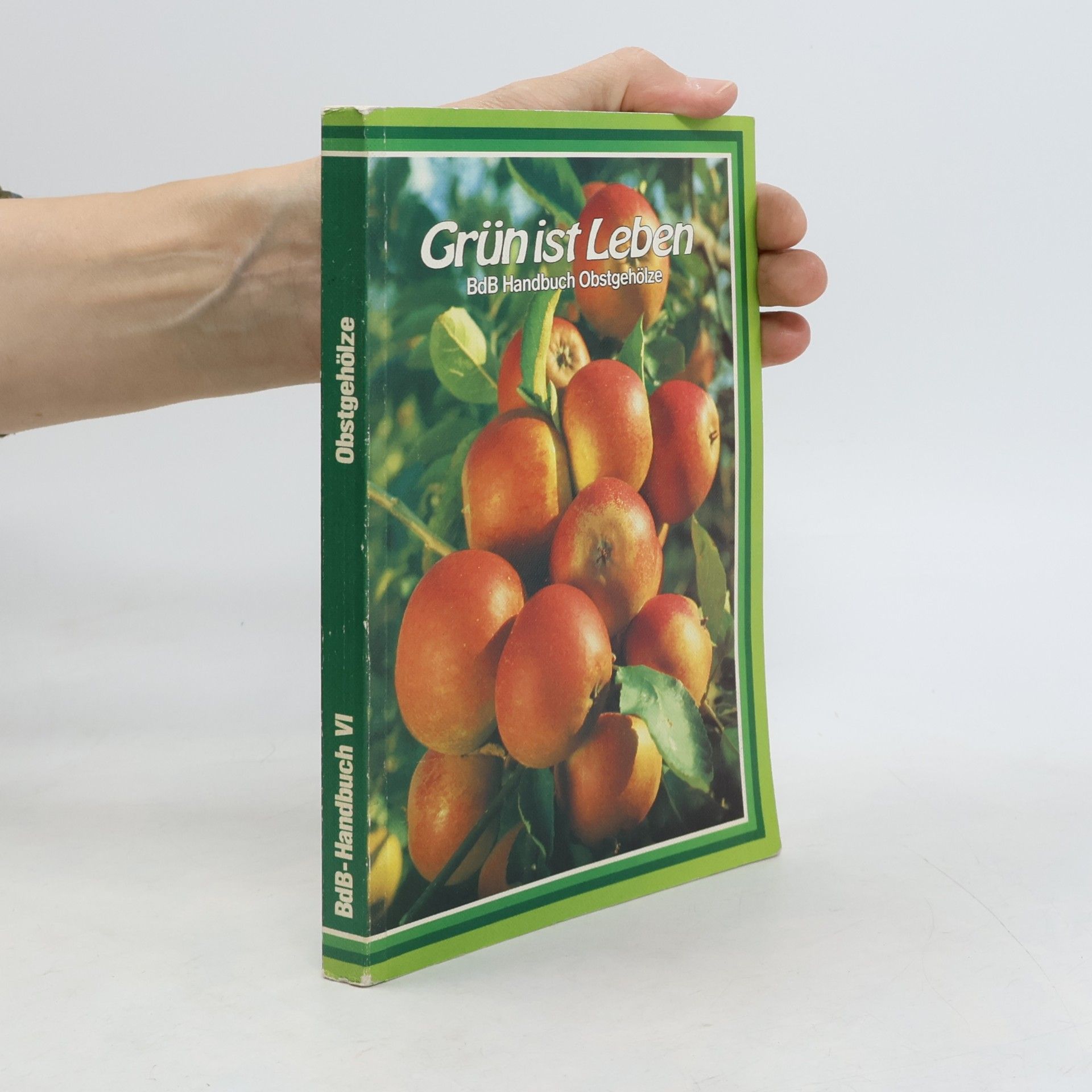 Autorenkollektiv Grün ist Leben. Obstgehölze