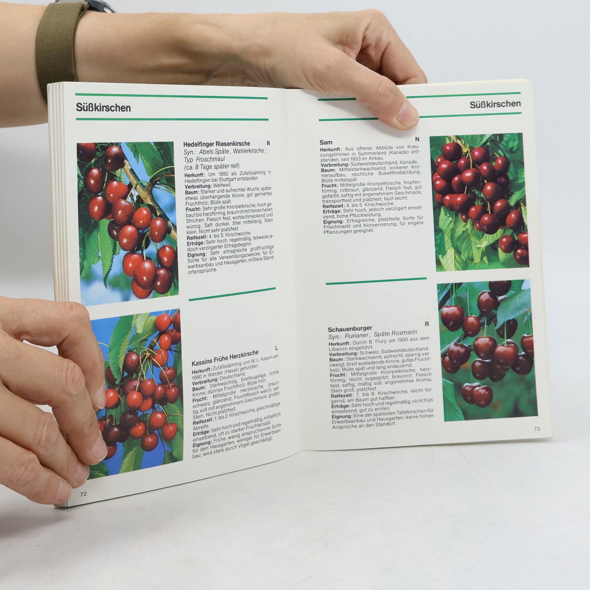 Autorenkollektiv Grün ist Leben. Obstgehölze