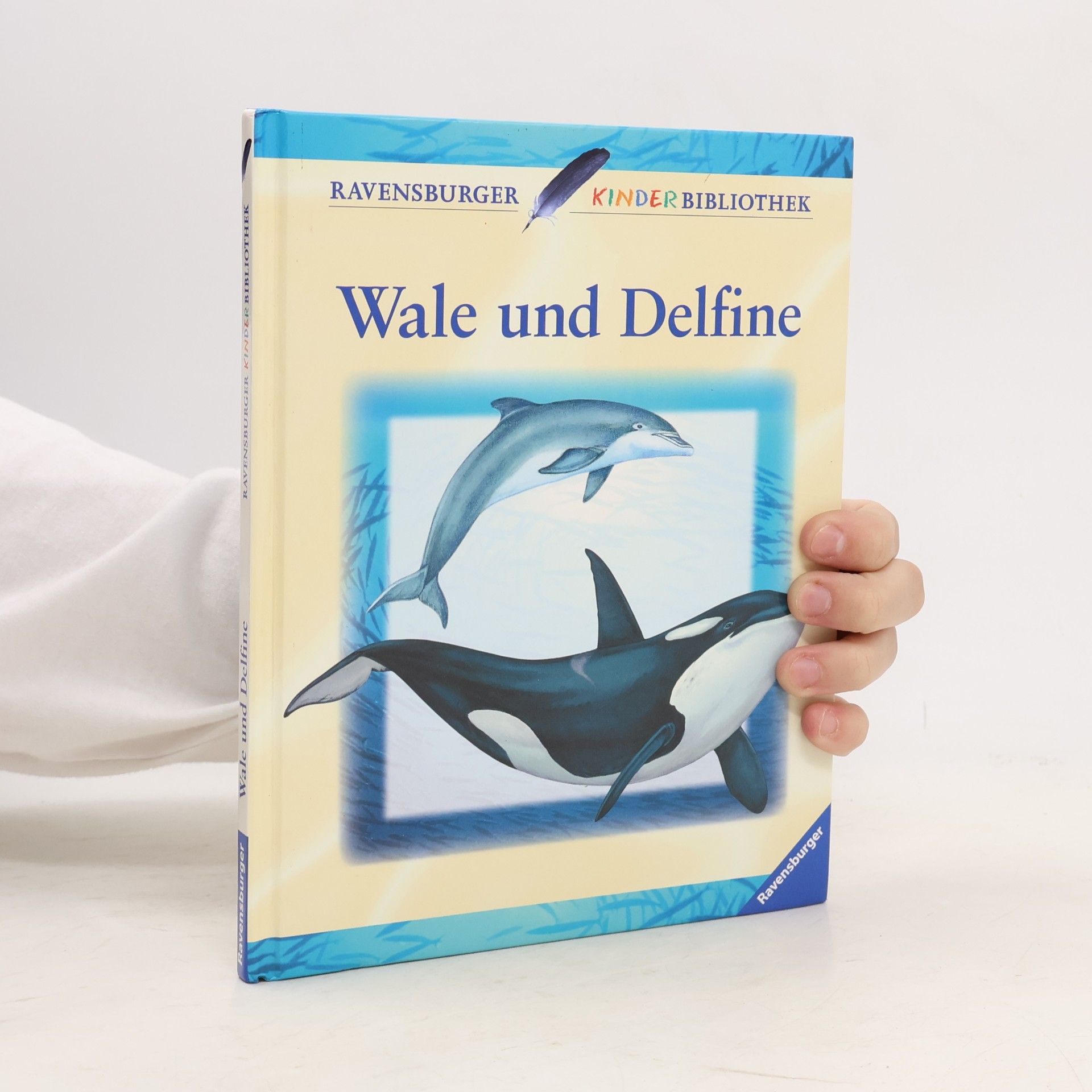 Wale und Delfine