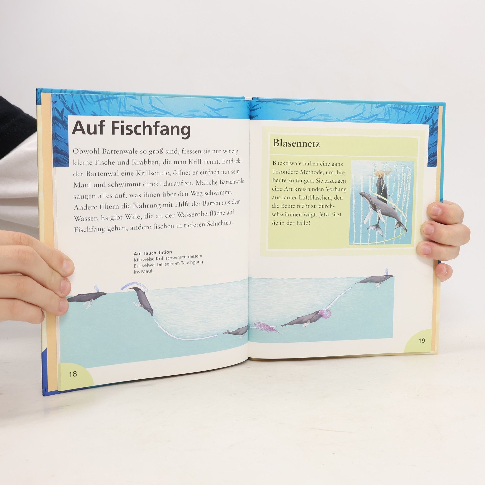 Christiane Burkhardt Wale und Delfine