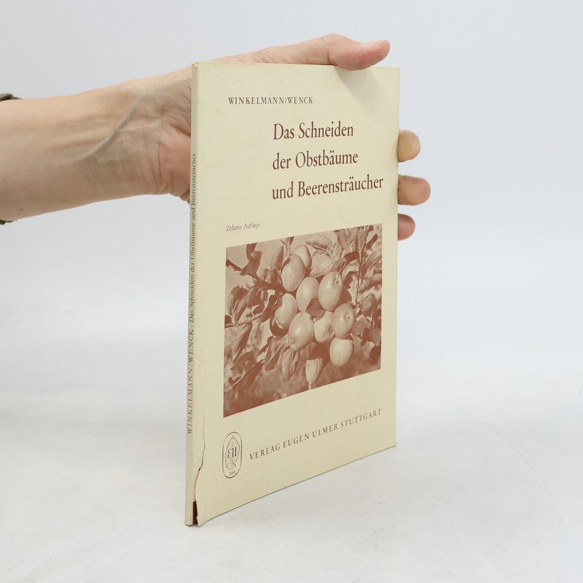 Das Schneiden der Obstbäume und Beerensträucher