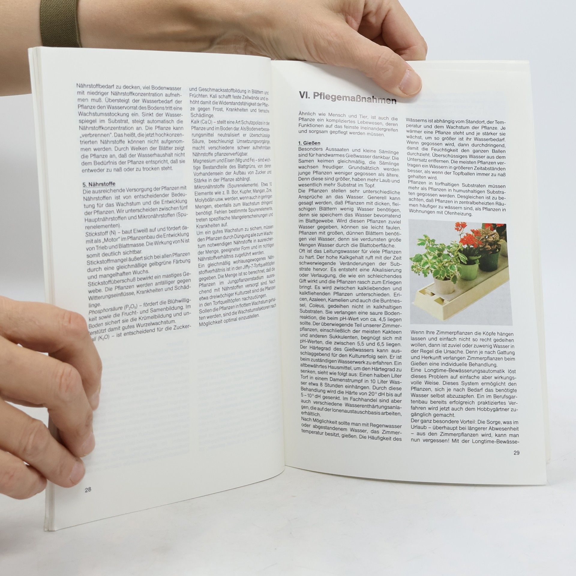 Autorenkollektiv Schöne Pflanzen. Selber Ziehen