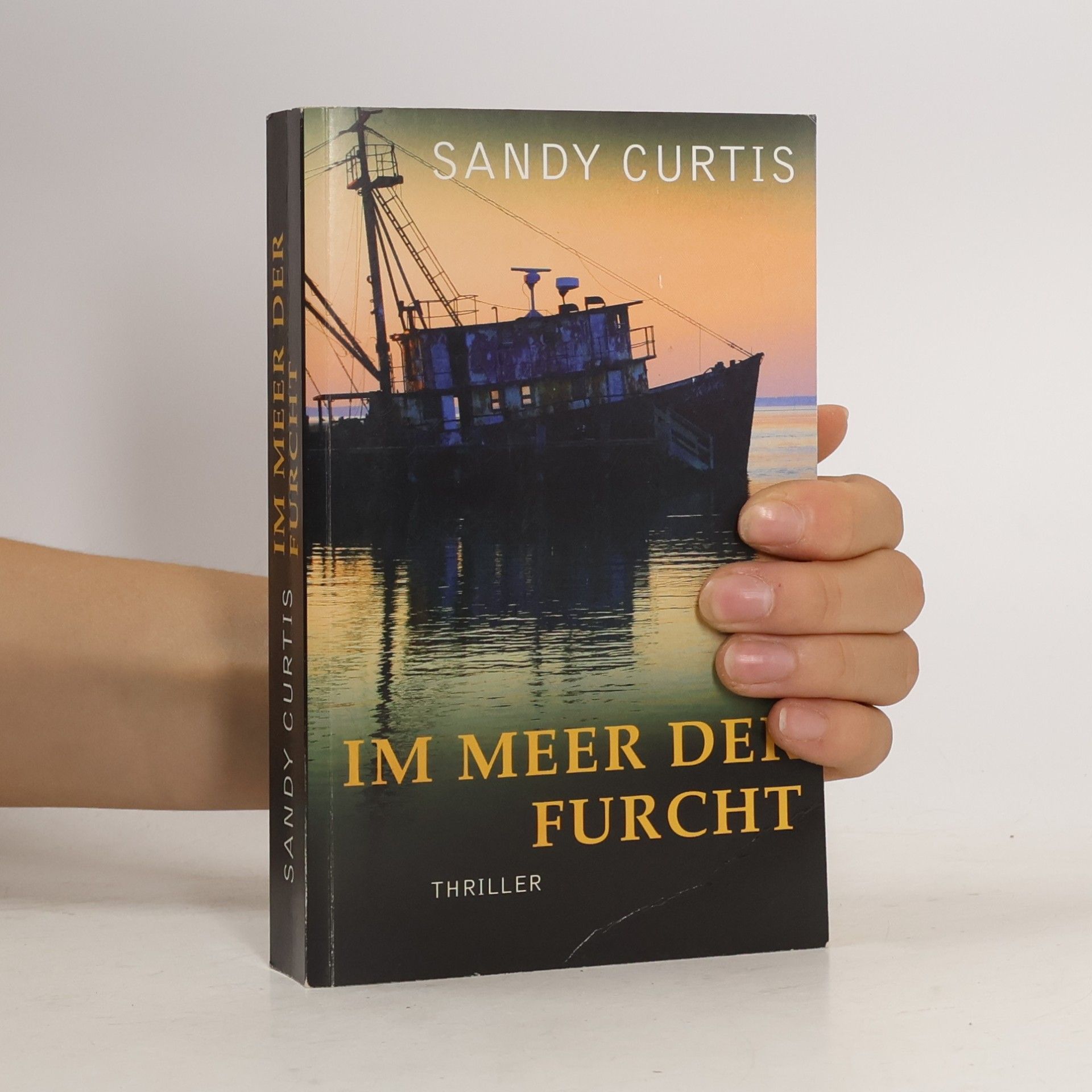 Sandy Curtis Im Meer der Furcht