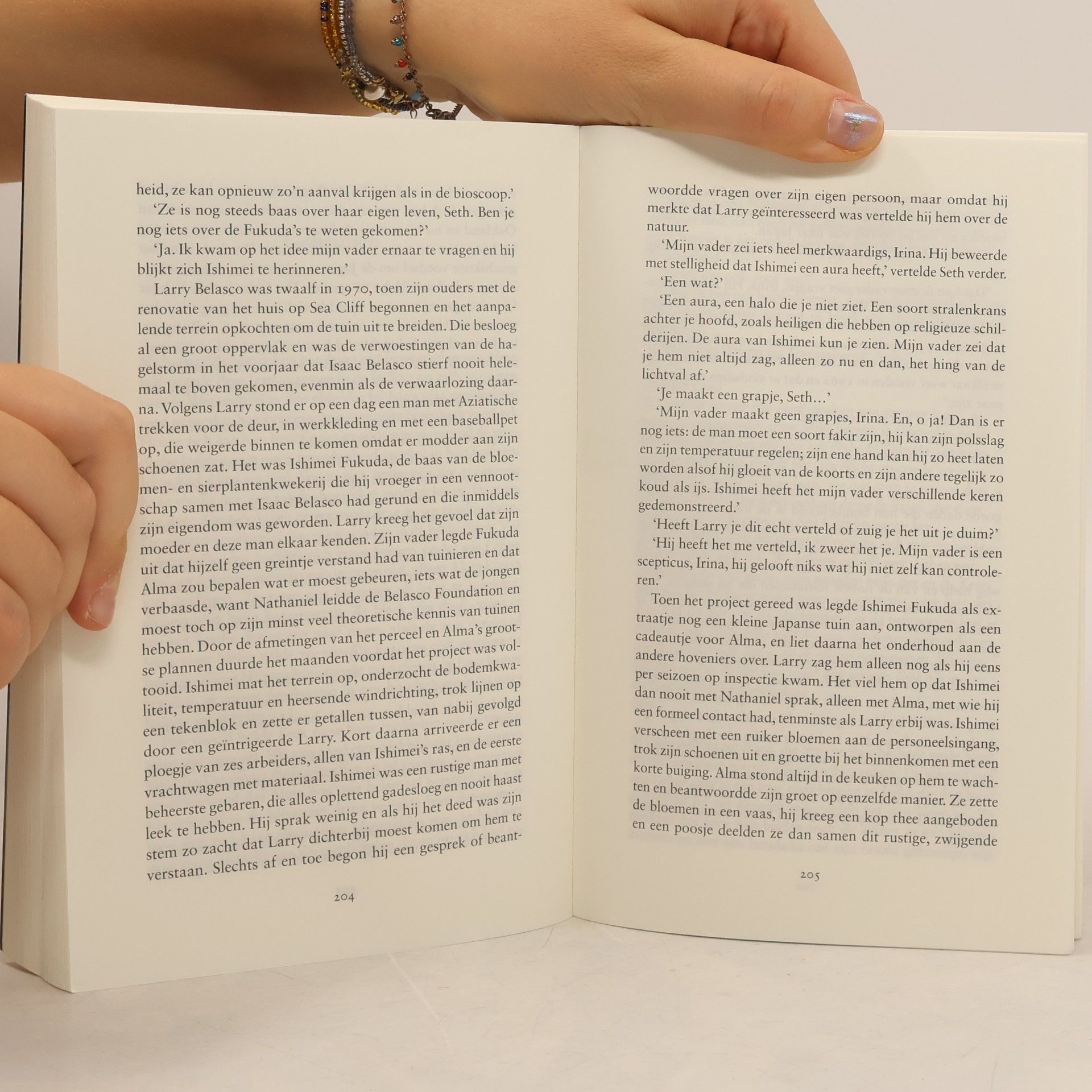 Isabel Allende De Japanse minnaar