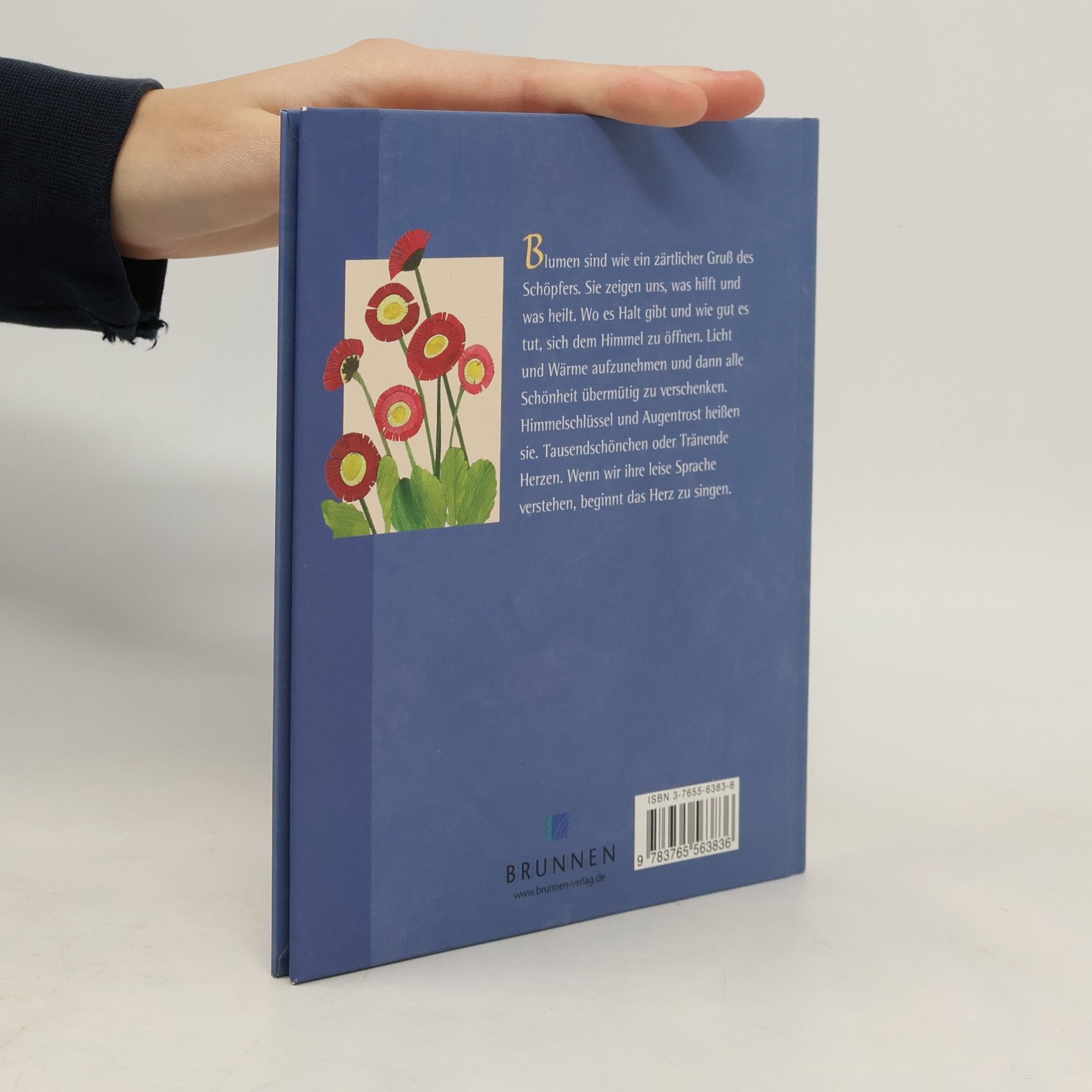 Hanna Ahrens Blumen aus meinem Garten