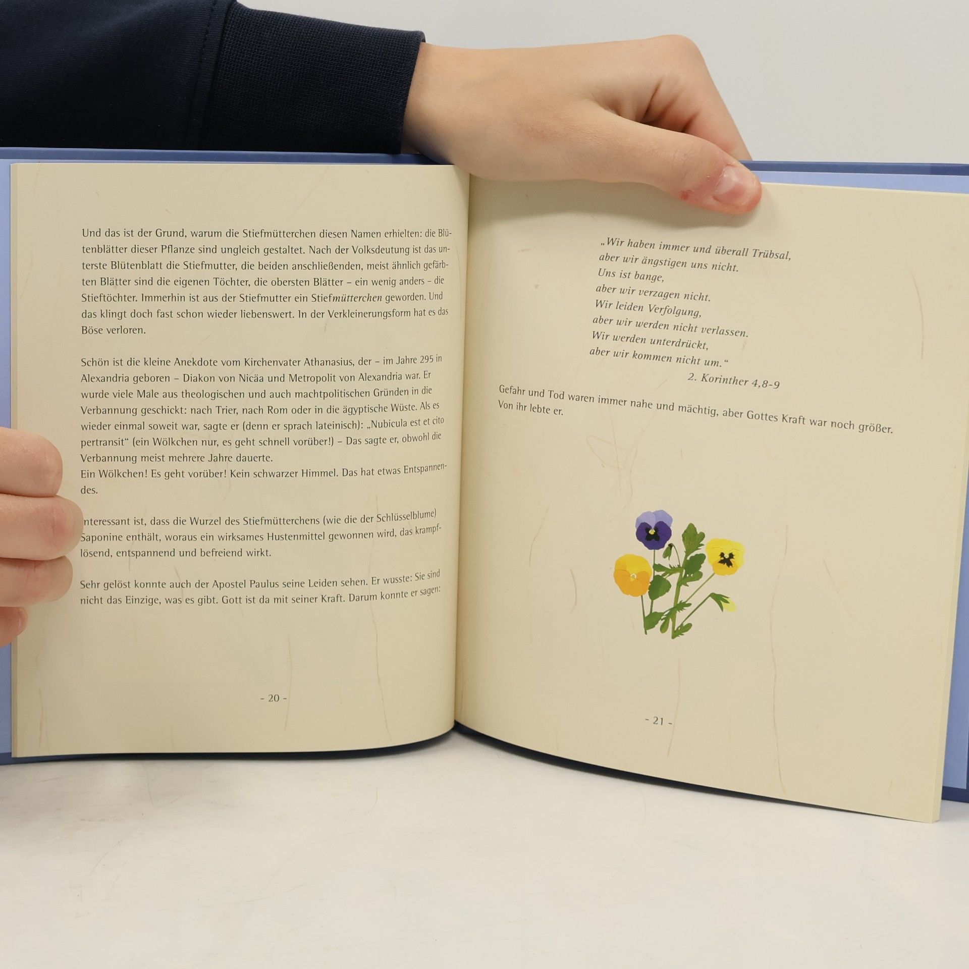 Hanna Ahrens Blumen aus meinem Garten