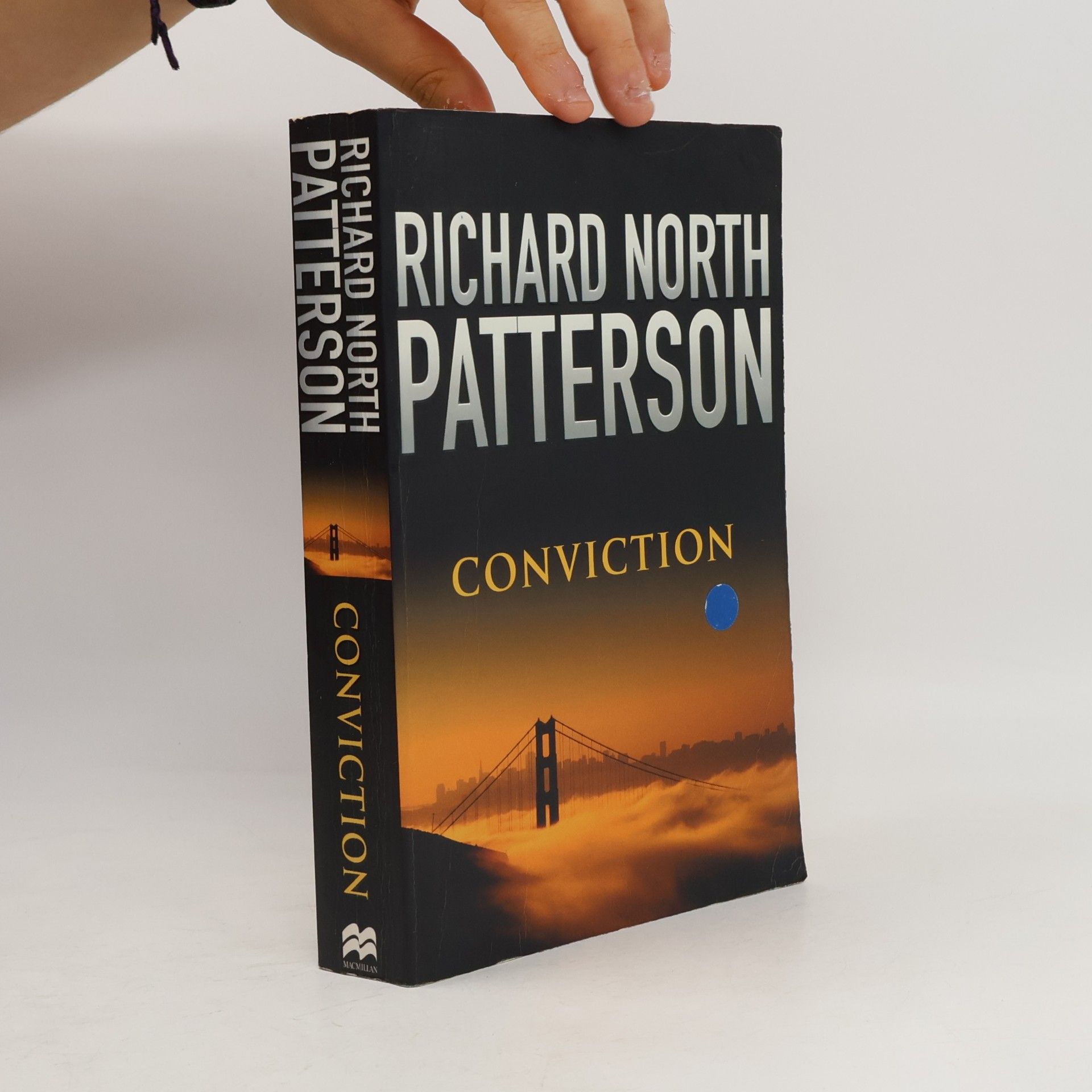 Patricia Kalember Conviction