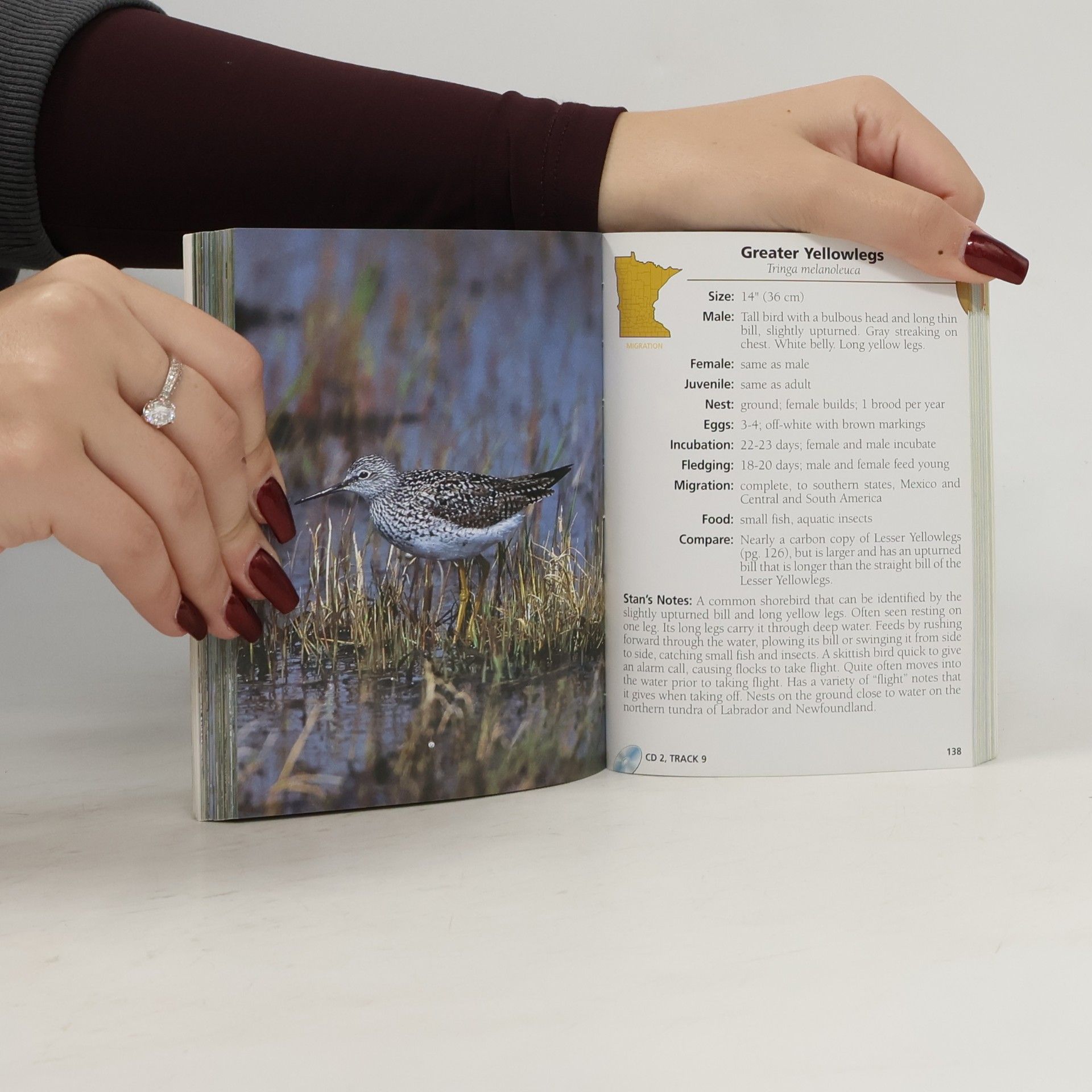 Stan Tekiela Bird Identification Guides: Birds of Minnesota Field Guide