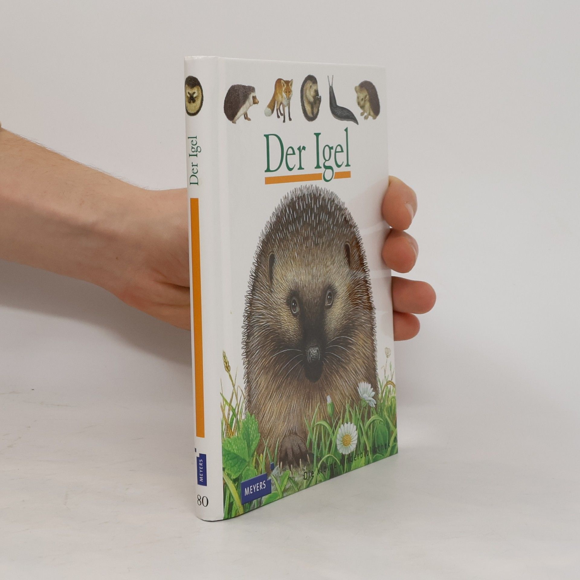 Der Igel