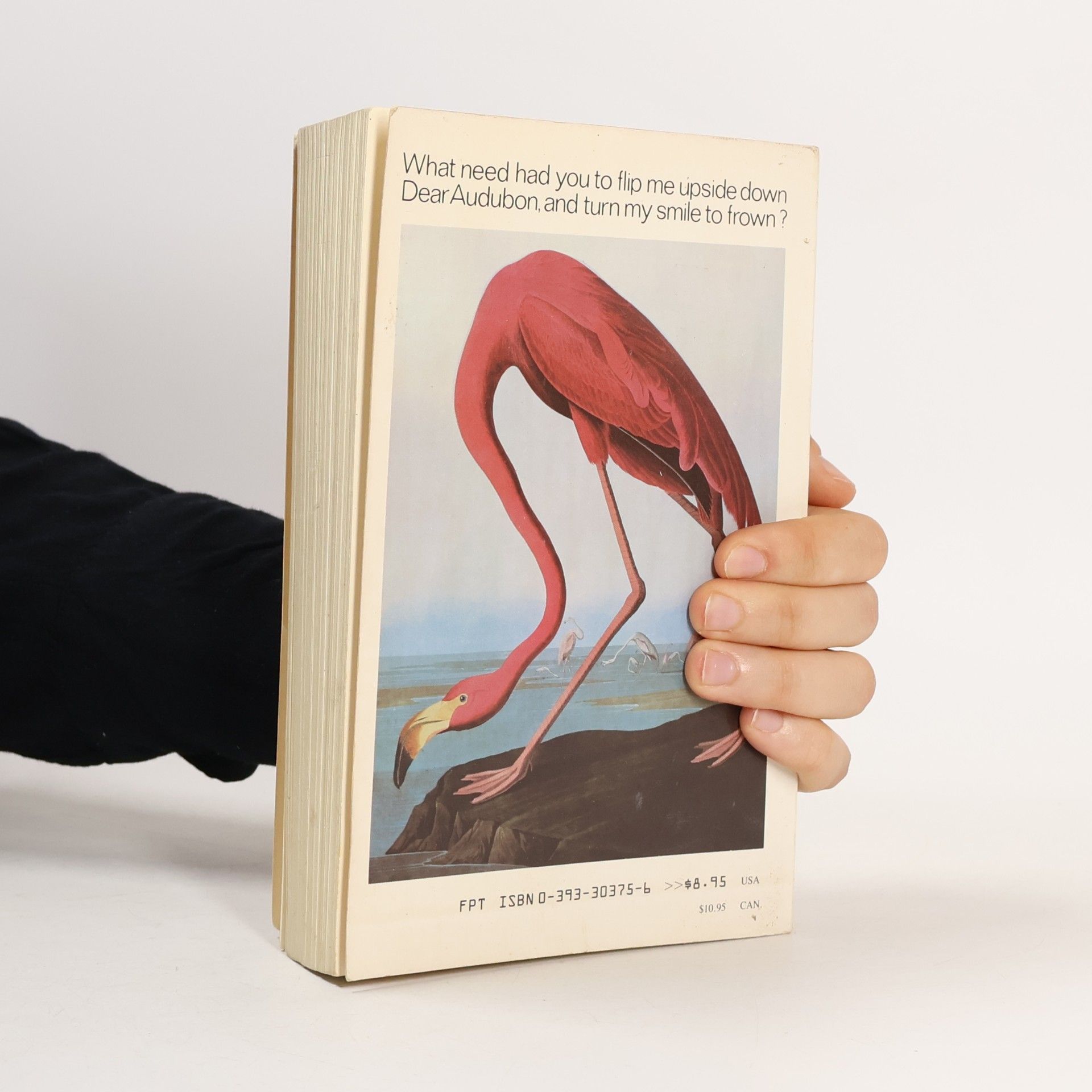 Stephen Jay Gould The flamingo's smile. Reflections in natural history