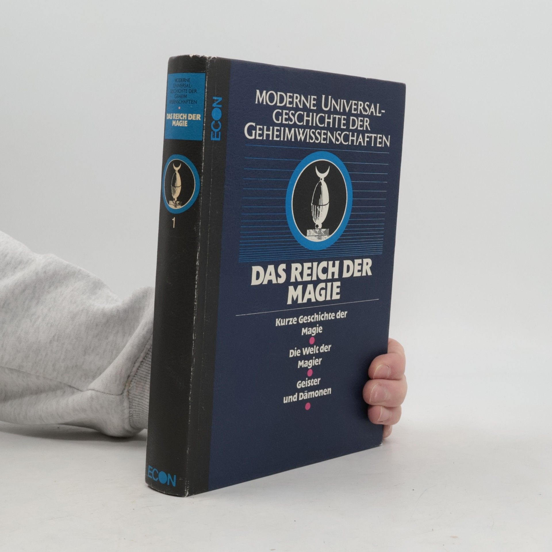 Steffi Steigemann Moderne Universal-Geschichte der Geheimwissenschaften: Das Reich der Magie