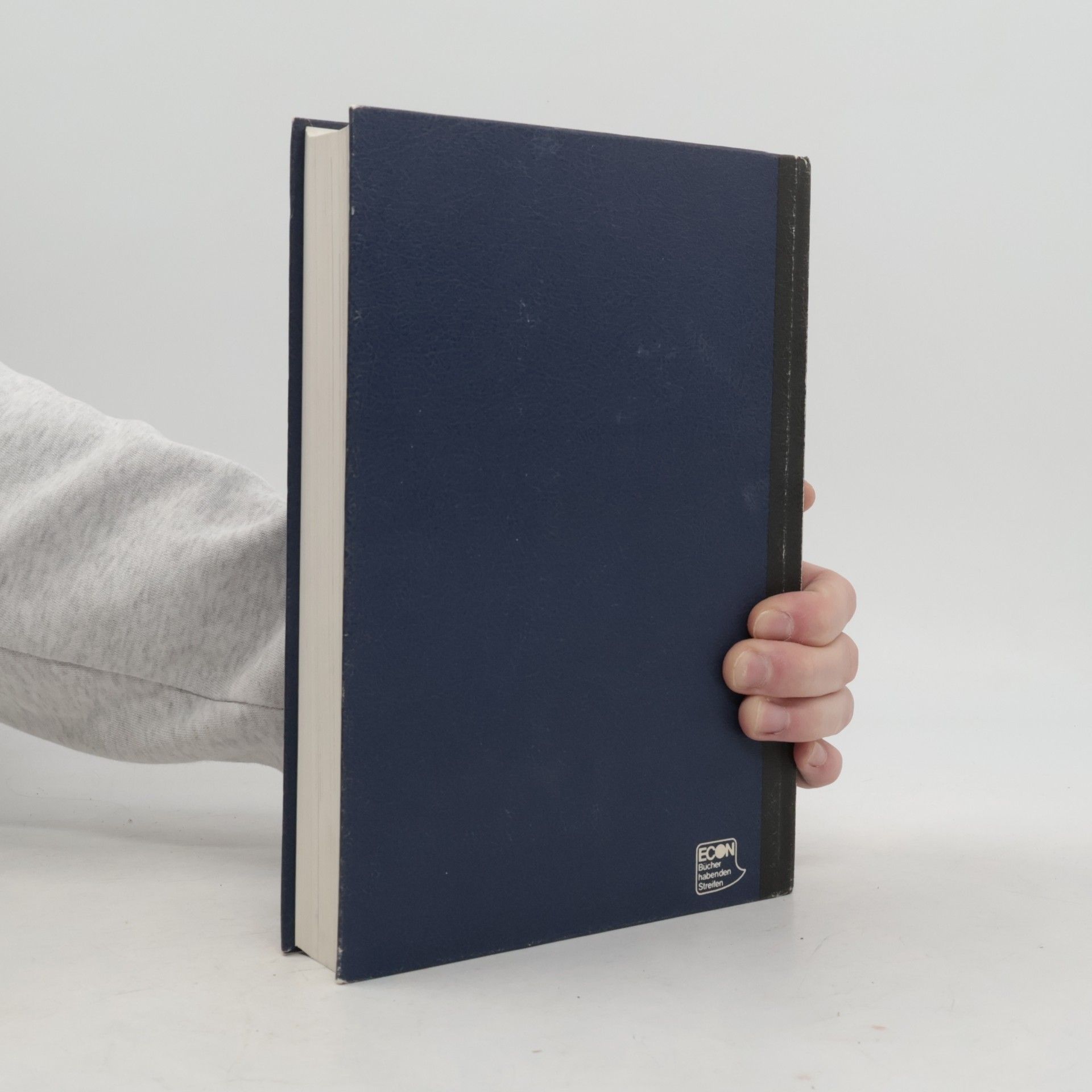 Steffi Steigemann Moderne Universal-Geschichte der Geheimwissenschaften: Das Reich der Magie