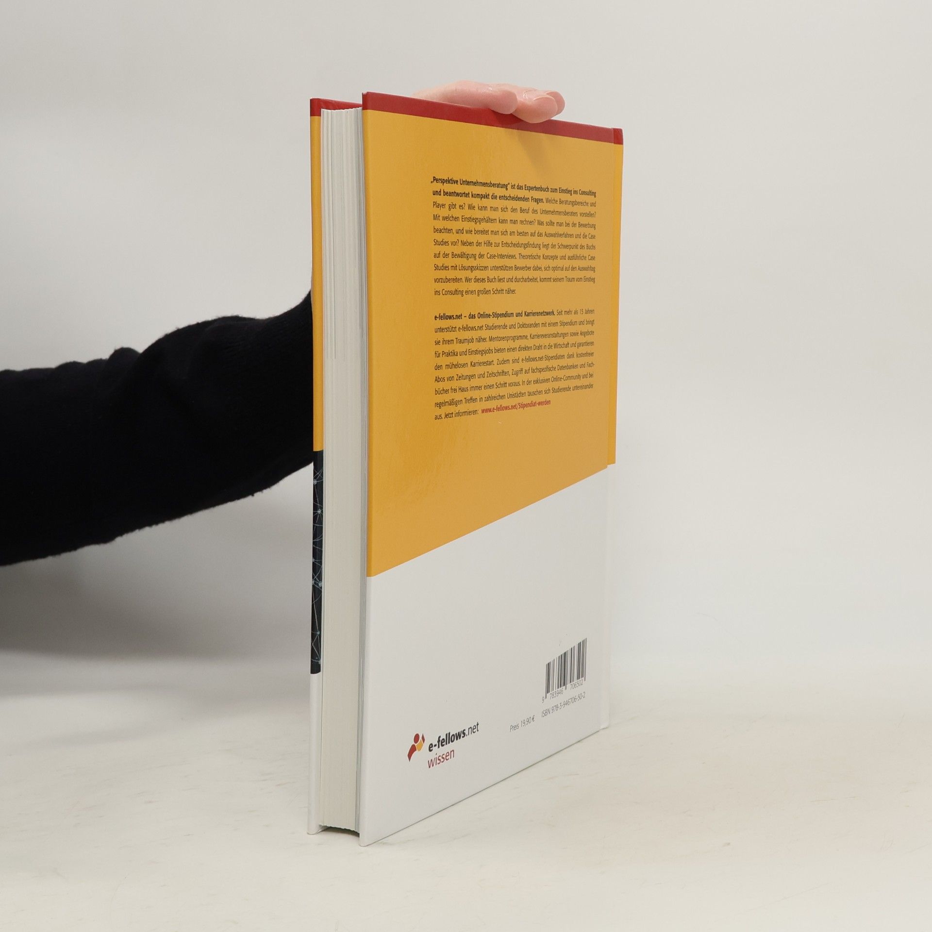 Michael Hies e-fellows.net Wissen: Perspektive Unternehmensberatung 2020